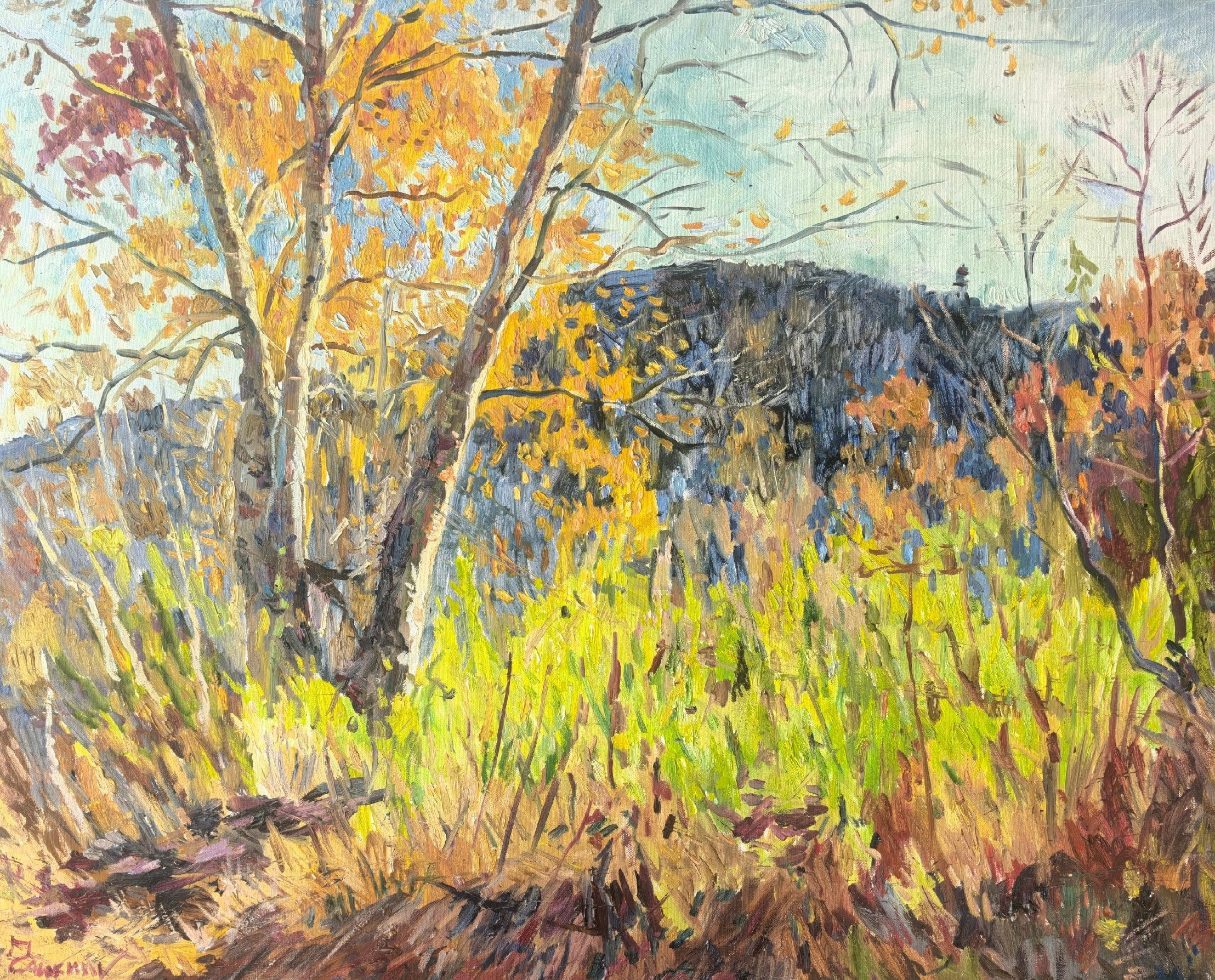 Этюды Камчатка. Художник и гид по Камчатке Евгений Чайкин