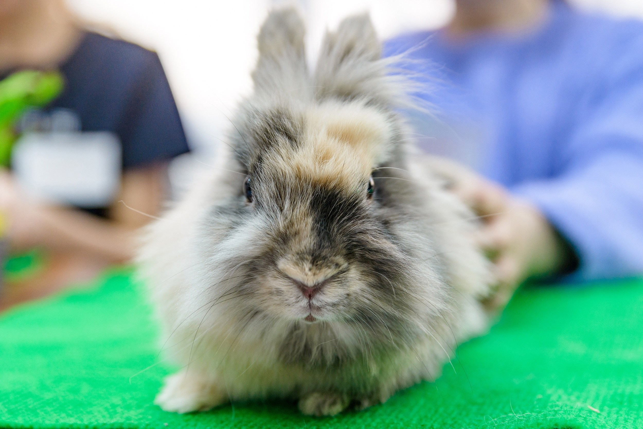 Основной альбом. Фотограф в Ханты-Мансийске Евгений Жуланов