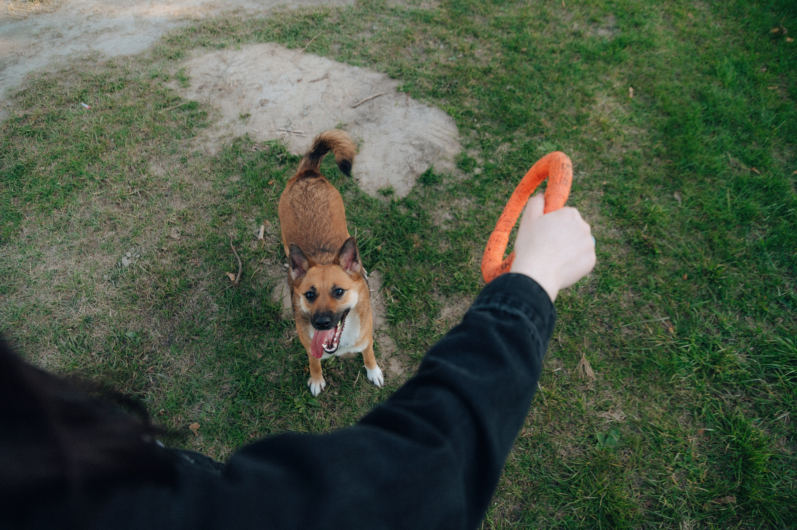 Влад и Алёна. Детский и семейный фотограф Катерина Мишина