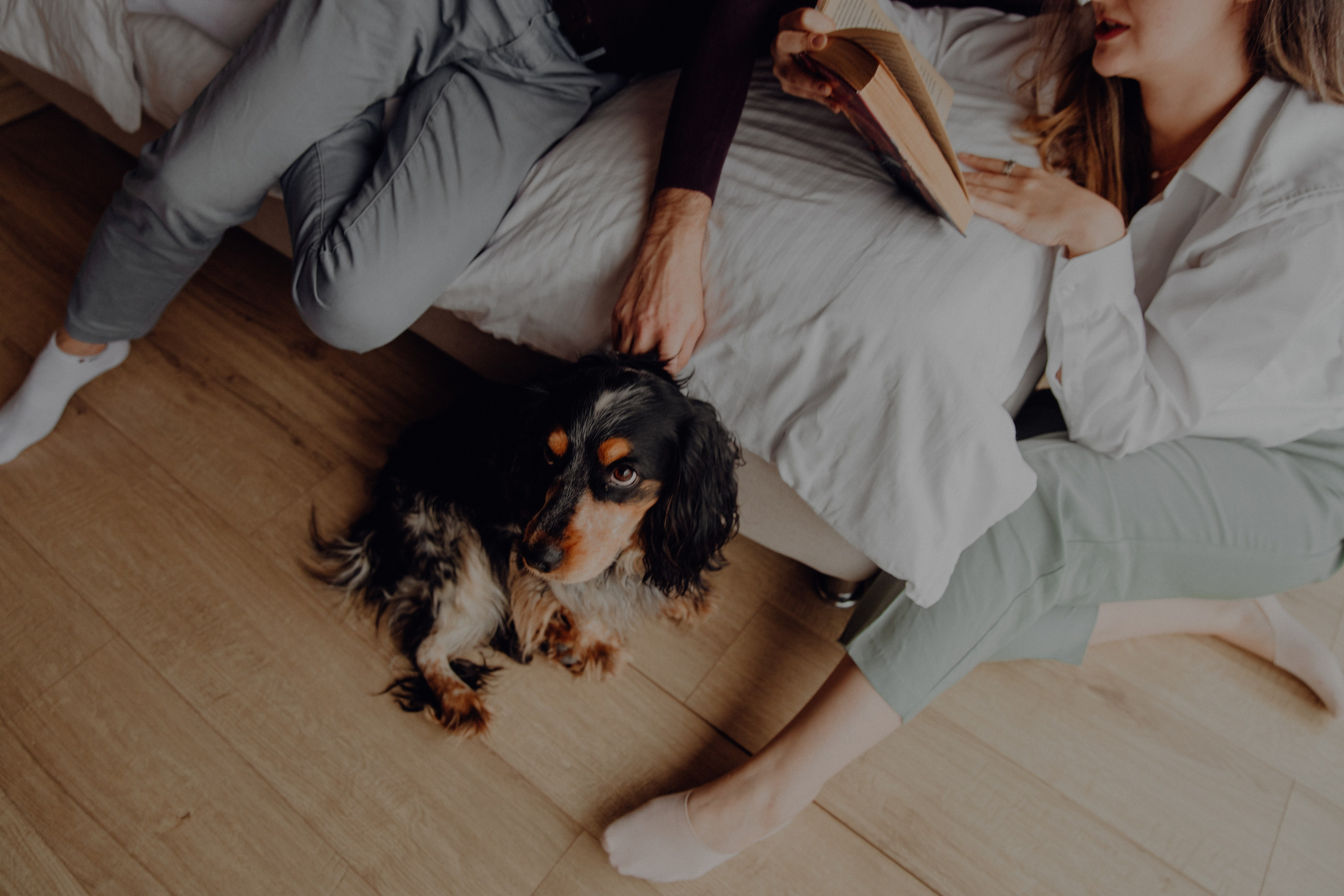 Ася ღ Заур. Портфолио