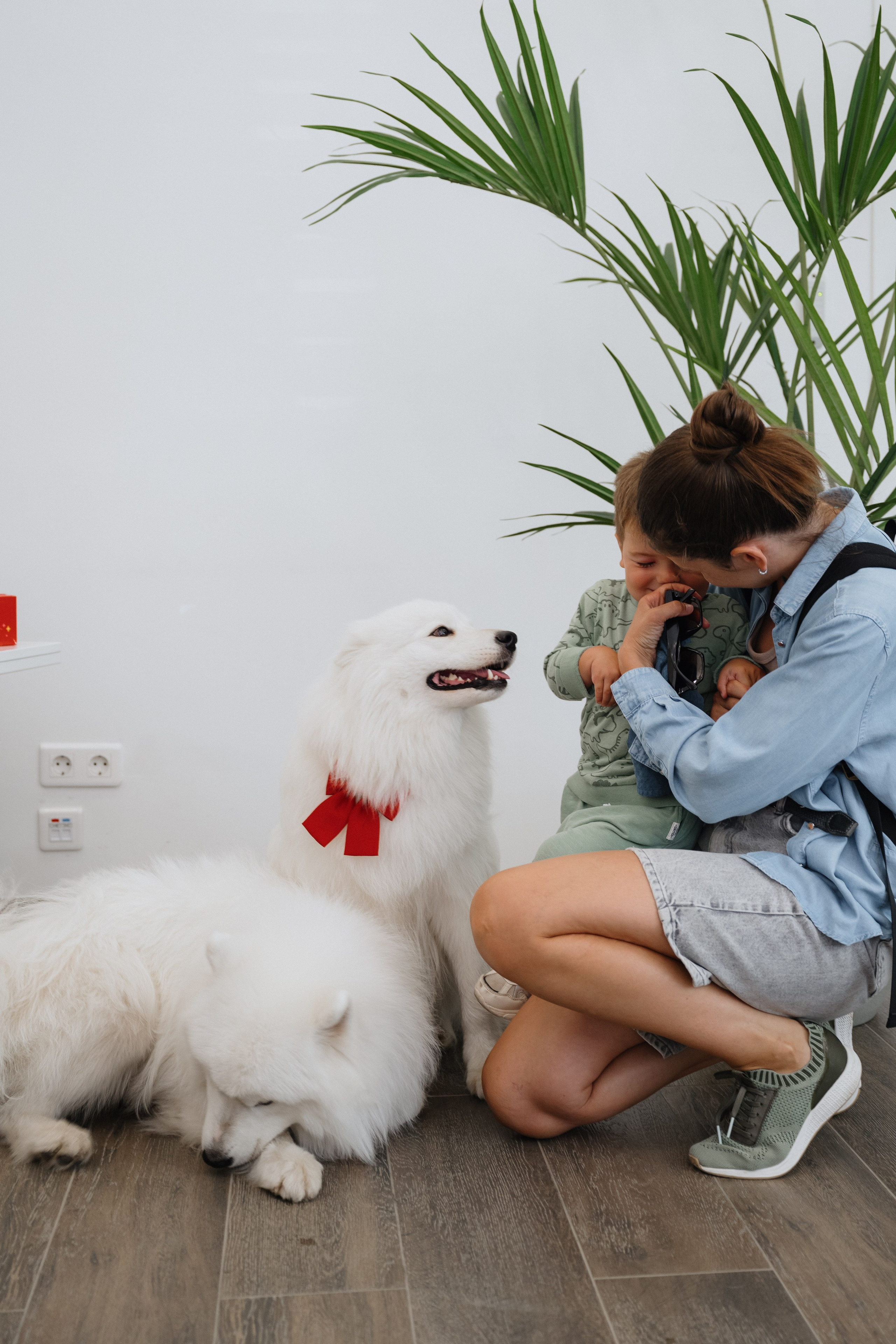 Альфа банк Карла Маркса 55. Фотограф Кристина Тумаева. Самоед Новосибирск