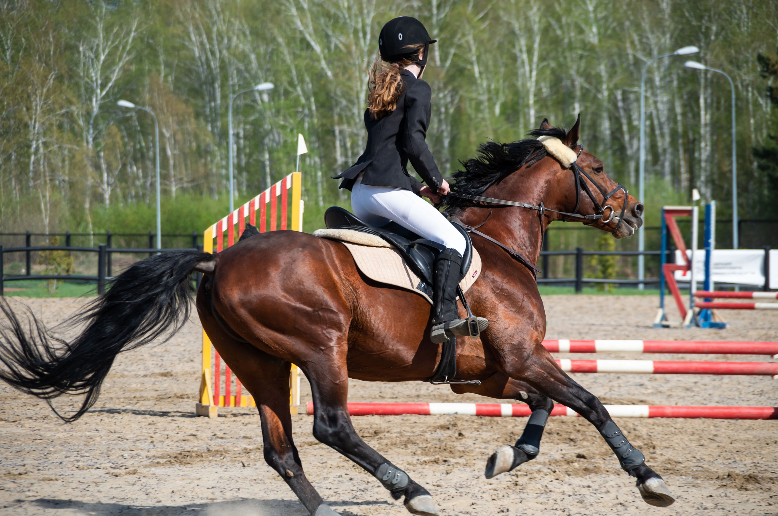 ДЕТИ & ЛОШАДИ. Фотограф Марина Доглядная Челябинск фотосессии с лошадьми, мотоциклами