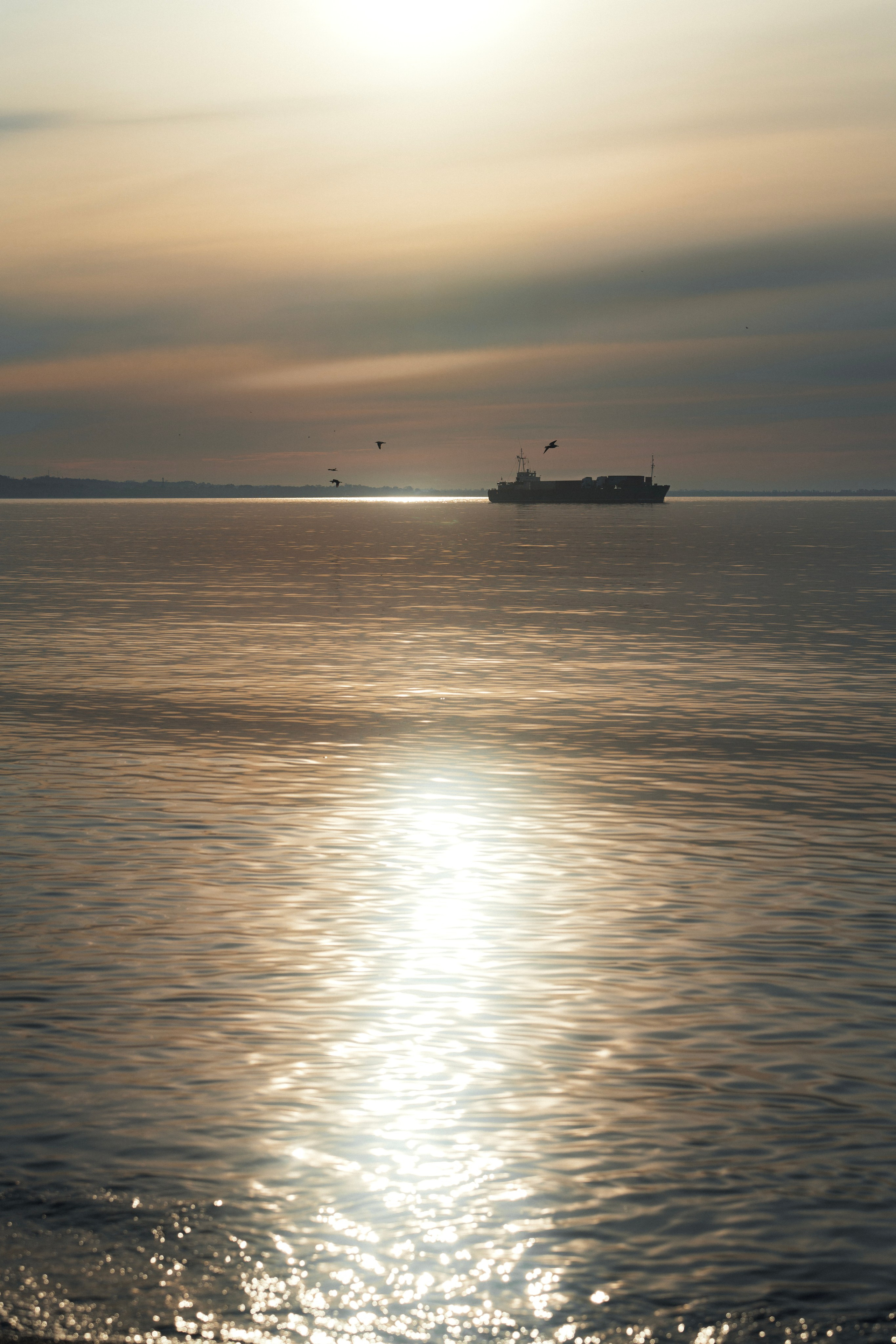 Заставки. Главная