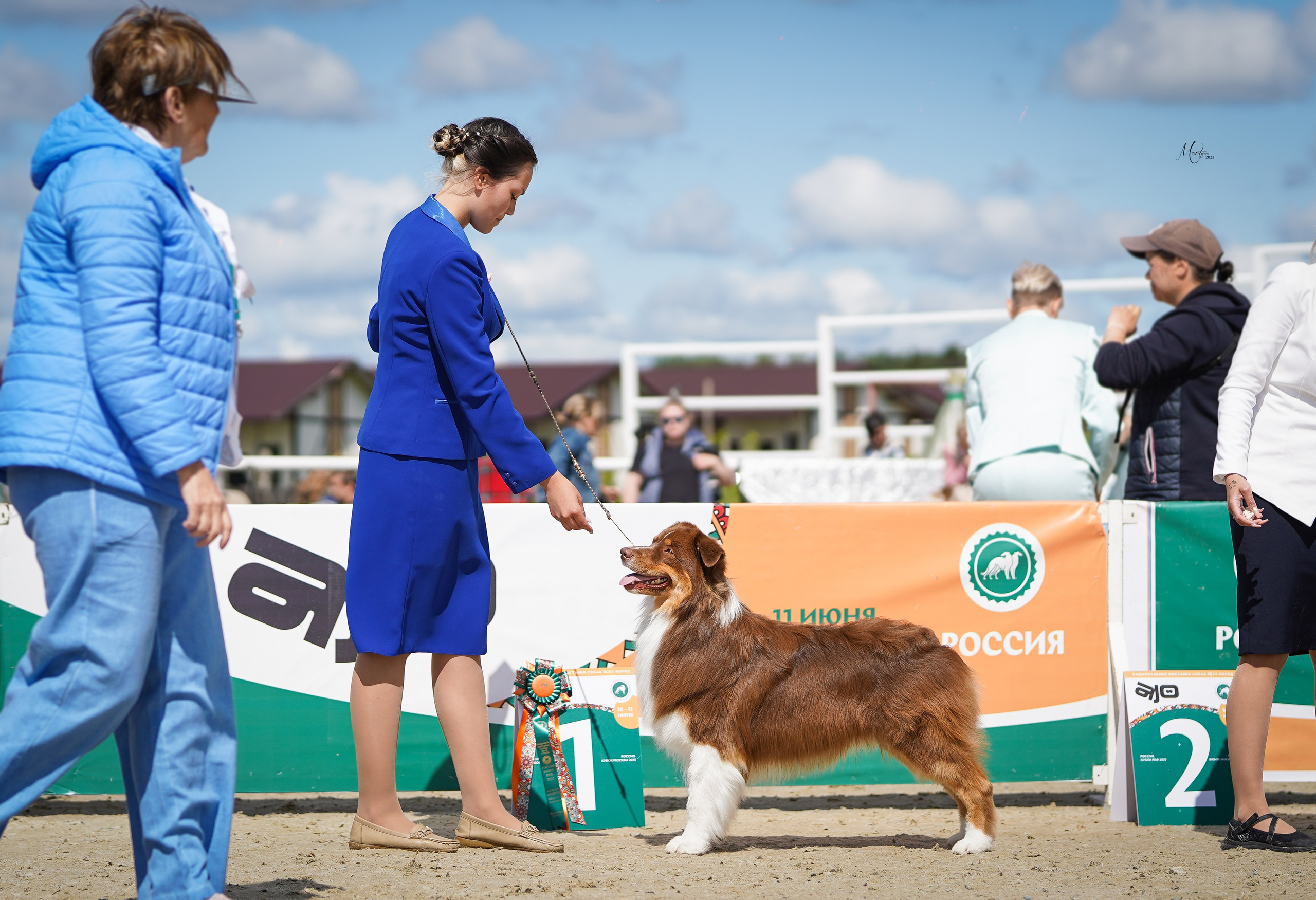 Выставки 2023. Фотограф-анималист в Санкт-Петербурге Яна Мартынова