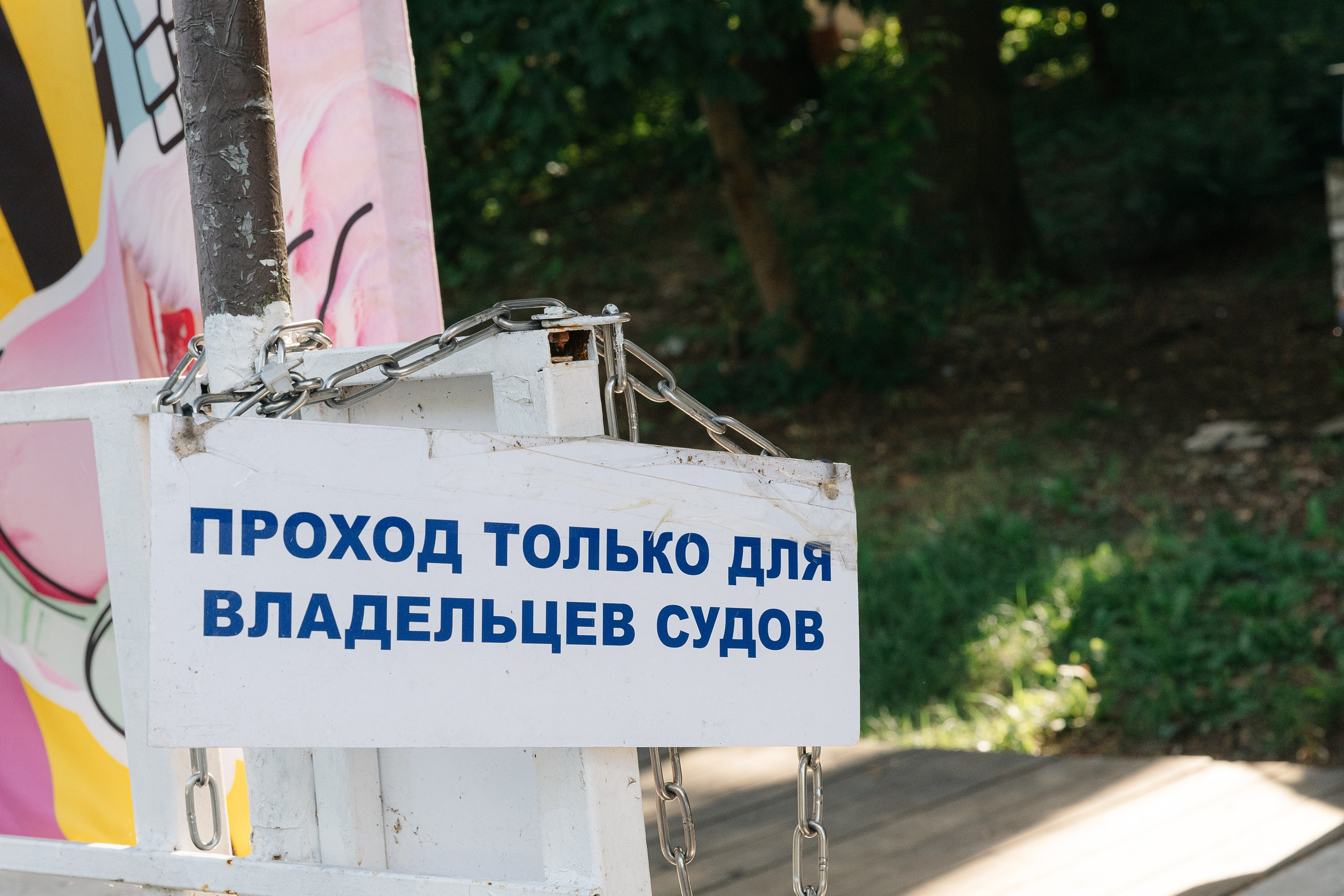 Тимбилдинг Яндекс. Свадебный фотограф Москва Саша Серегина (Сашина)