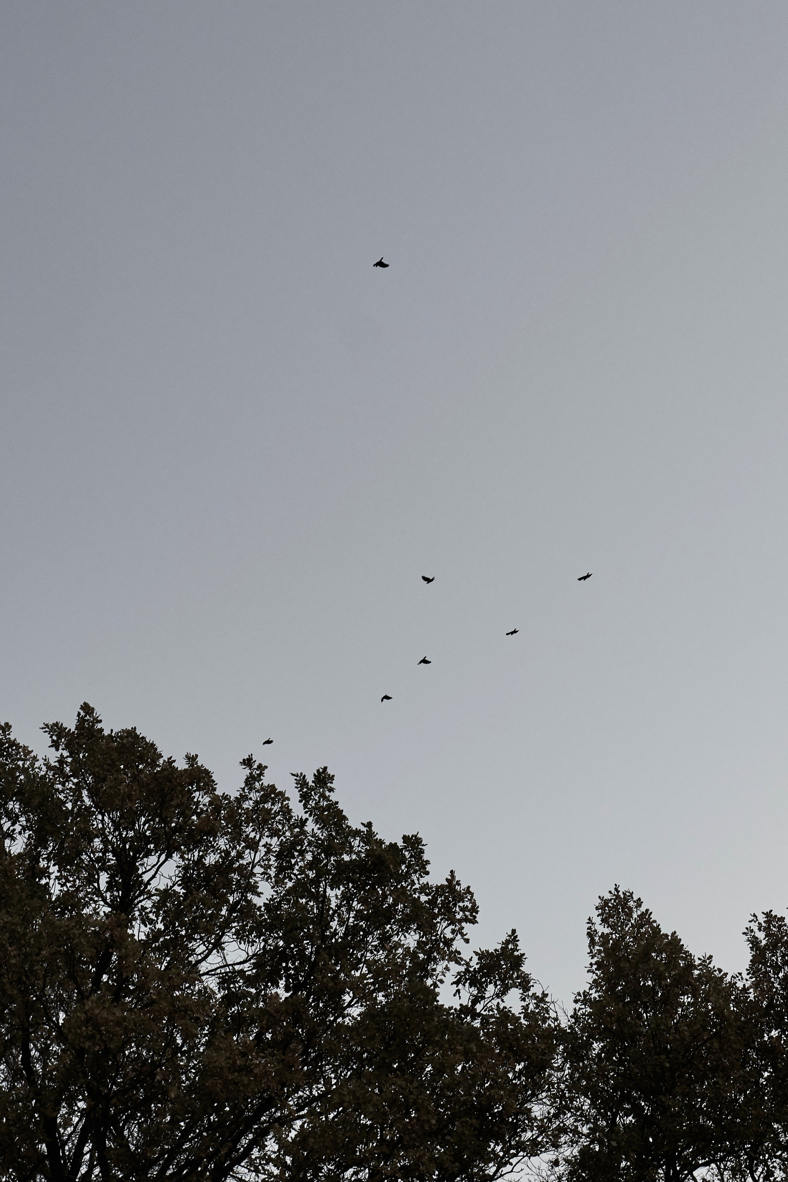 Колдунья. Фотограф в Санкт-Петербурге Виктория Черникова