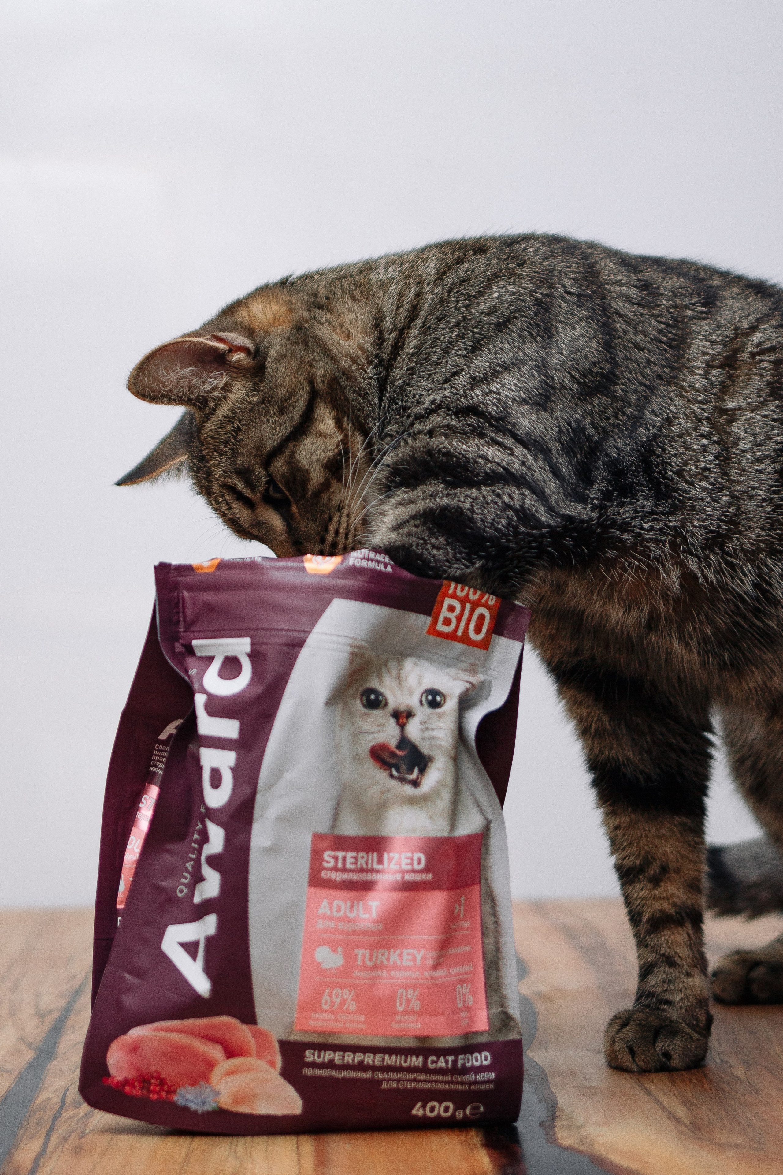 Благотворительная съемка животных. Предметный фотограф в Москве Дарья Радькович