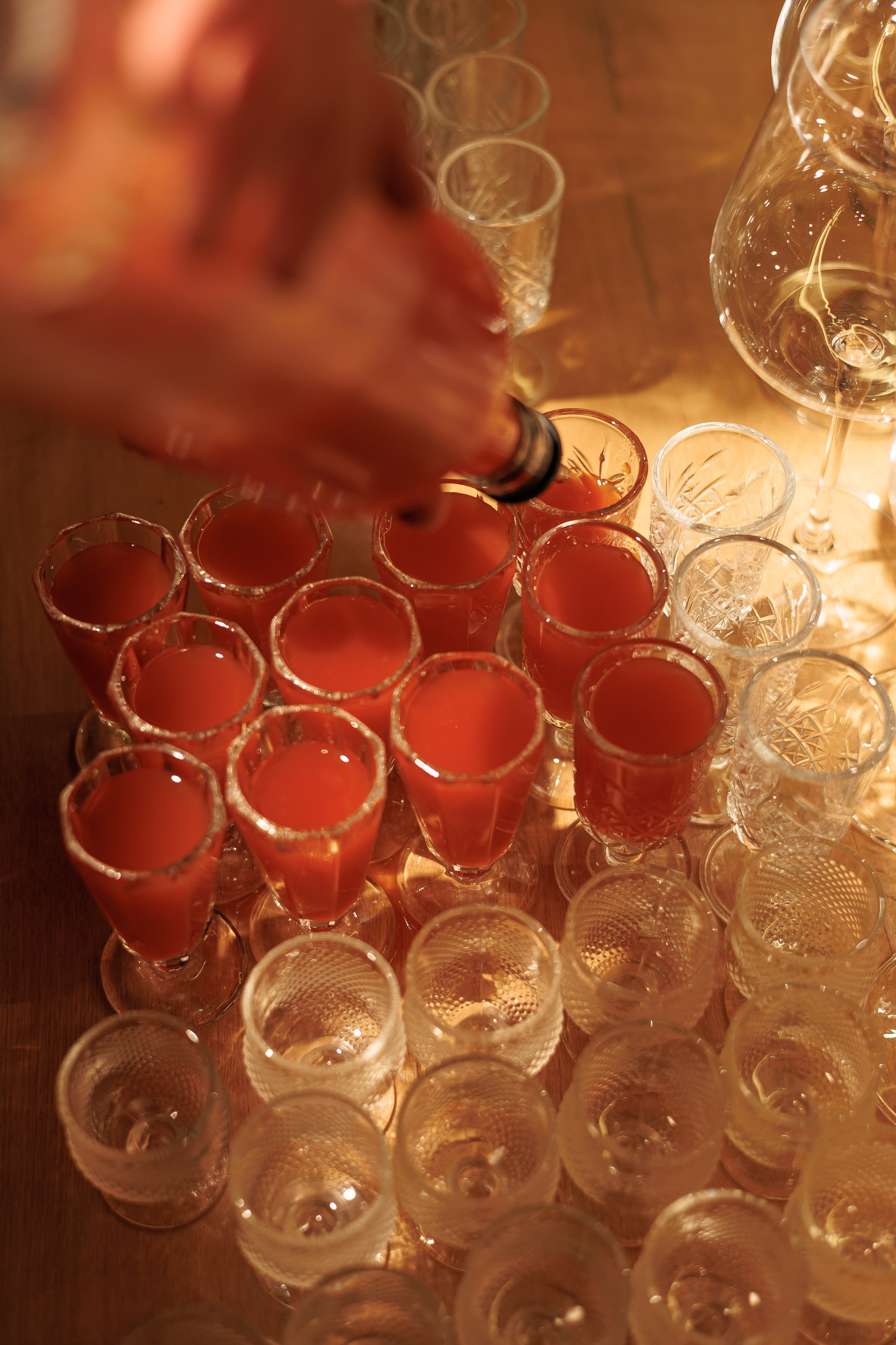 Гастроужин Поселенцы в гостях у Самозванцев