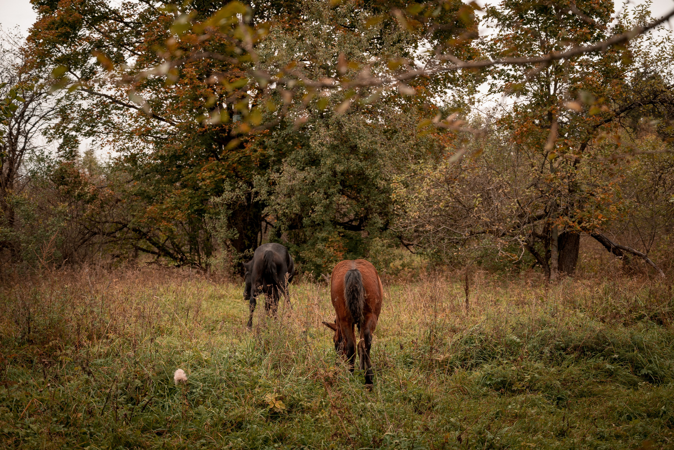 Места. Фотограф в Минске Дарья Кончакова