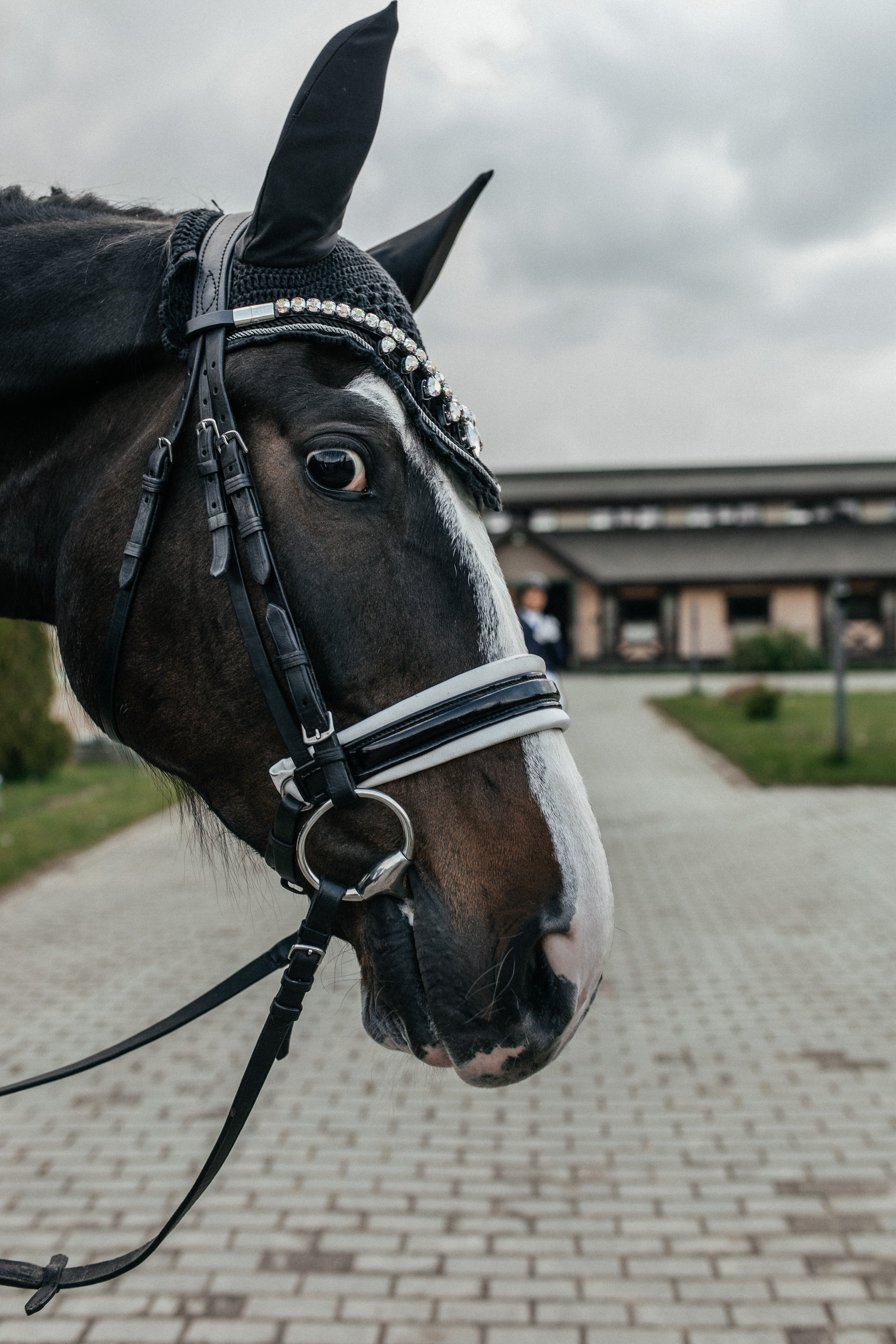 Конная прогулка. Тома и Кеша. Профессиональный фотограф, Москва |Видное Елена Елизарова