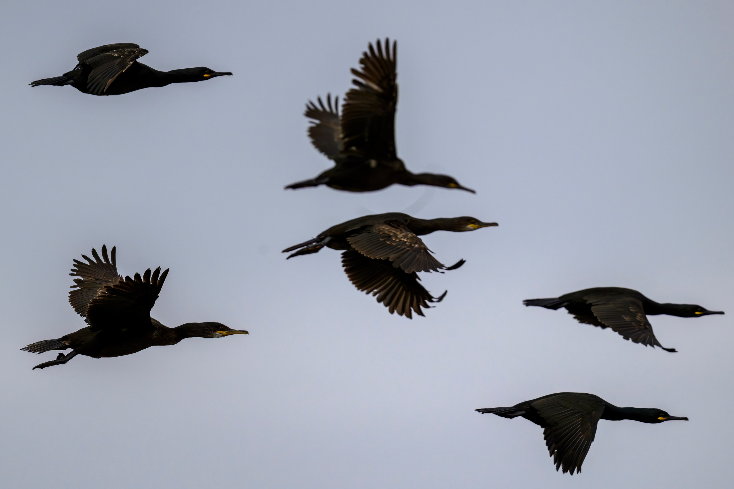 Мурманская область. Июнь 2024. Фотограф Сергей Пупонин