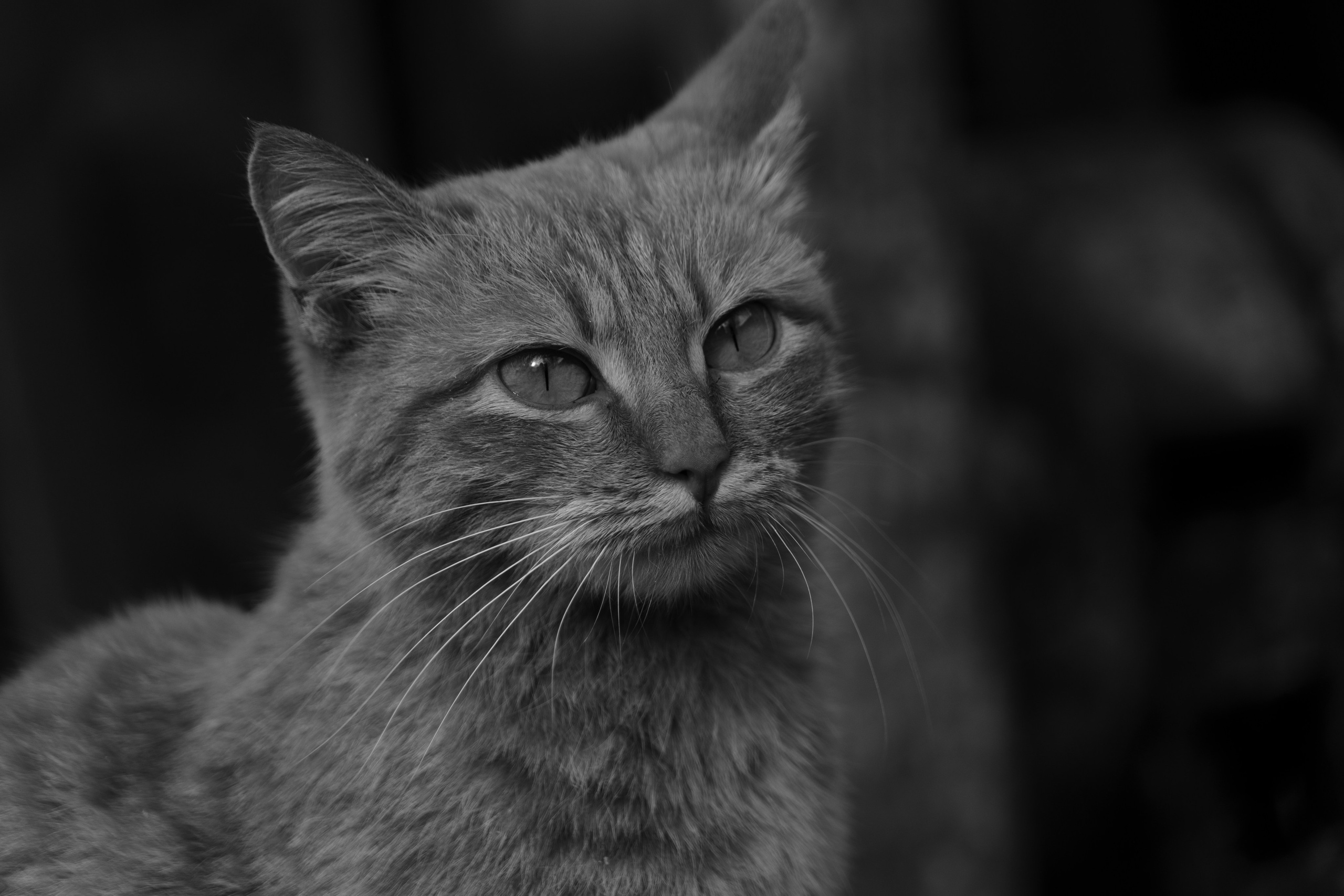 Бекстейдж сьемки кино. Профессиональная съемка в Алматы