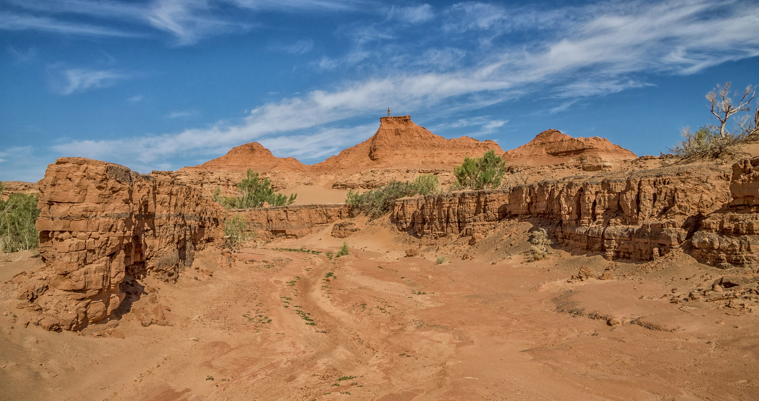 Природа и пейзажи / Nature and landscapes. Visual artist Olga Burmistrova