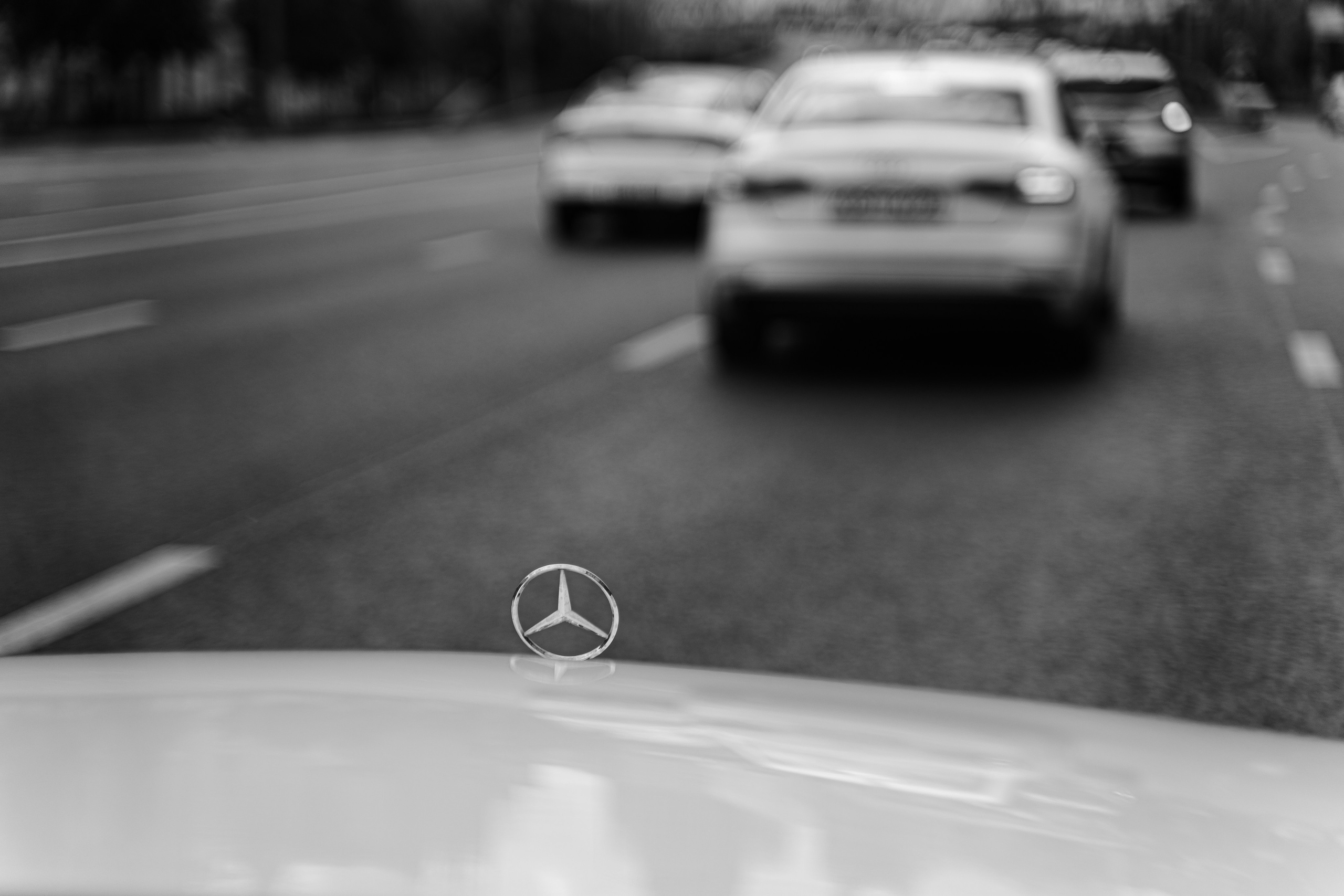 Дэвид и Карина. Фотограф Елизавета Савина