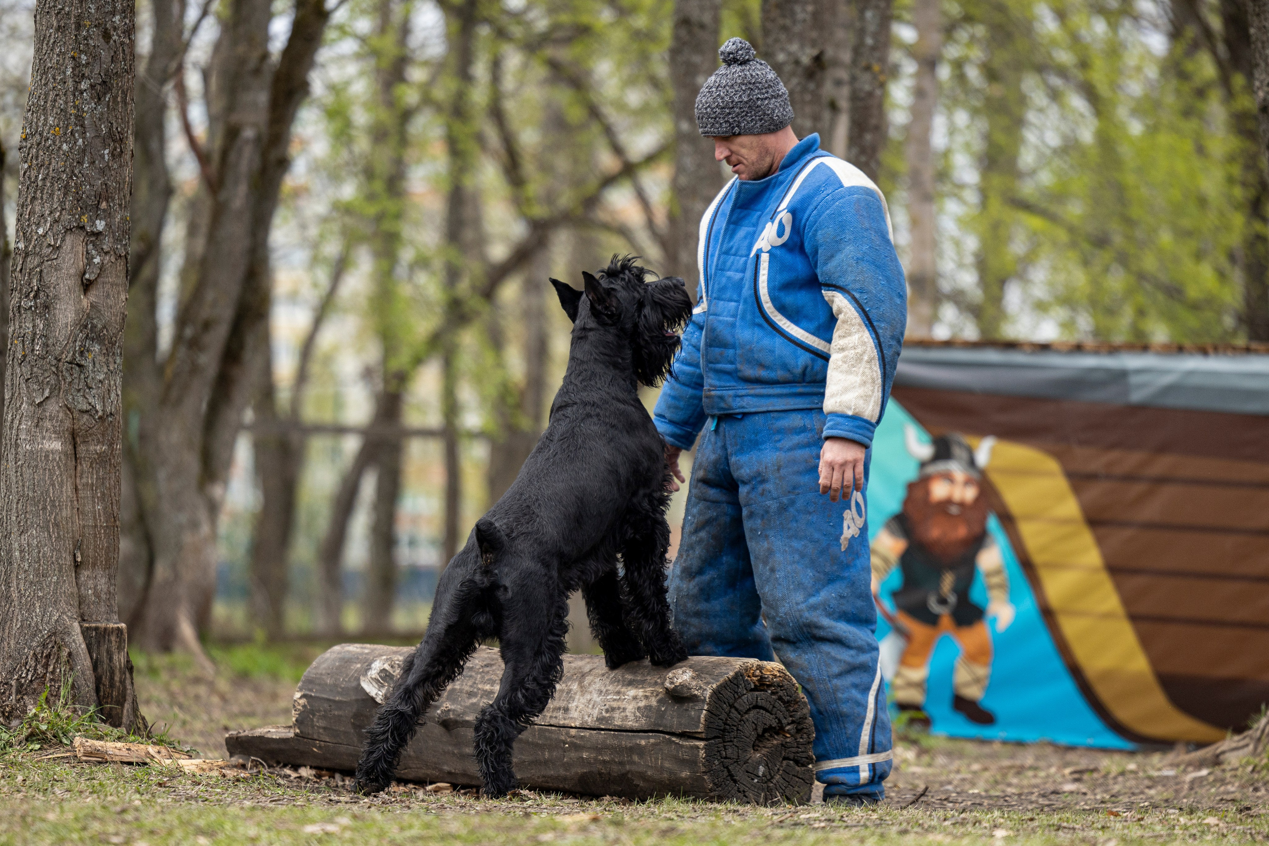 Квалификационные состязания по мондьорингу г. Вологда 11.05.24. Фотограф-анималист Анна Маринич