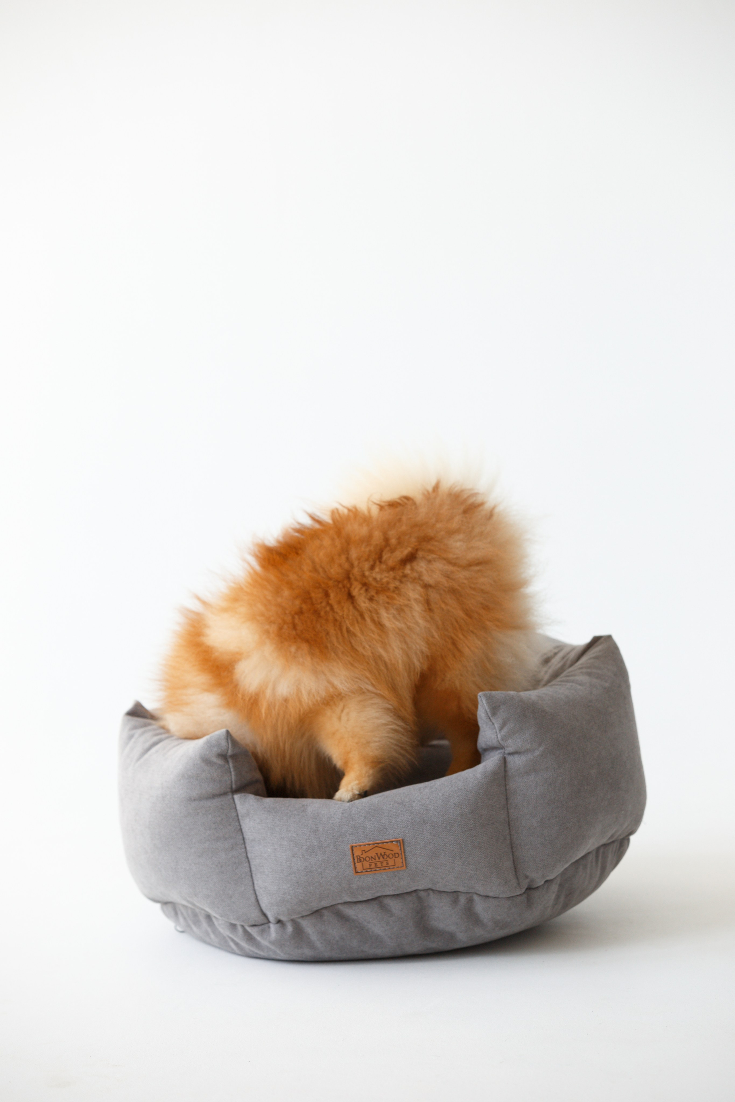 Boonwood Pets лежанки для животных. Фотограф анималист Кристина Карпова, Москва