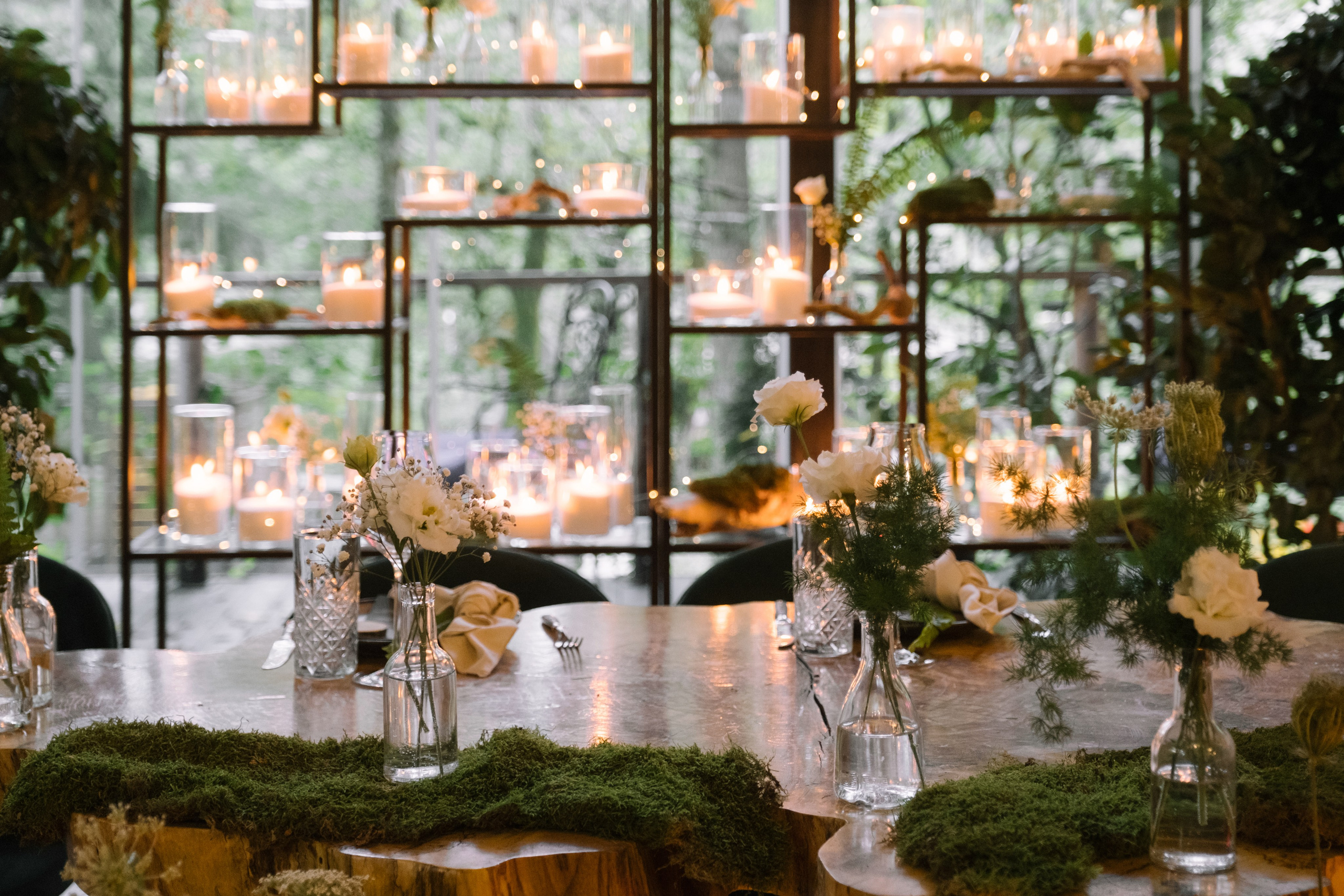 Кот и Дракон. Свадебный Видеограф Фотограф в Сочи