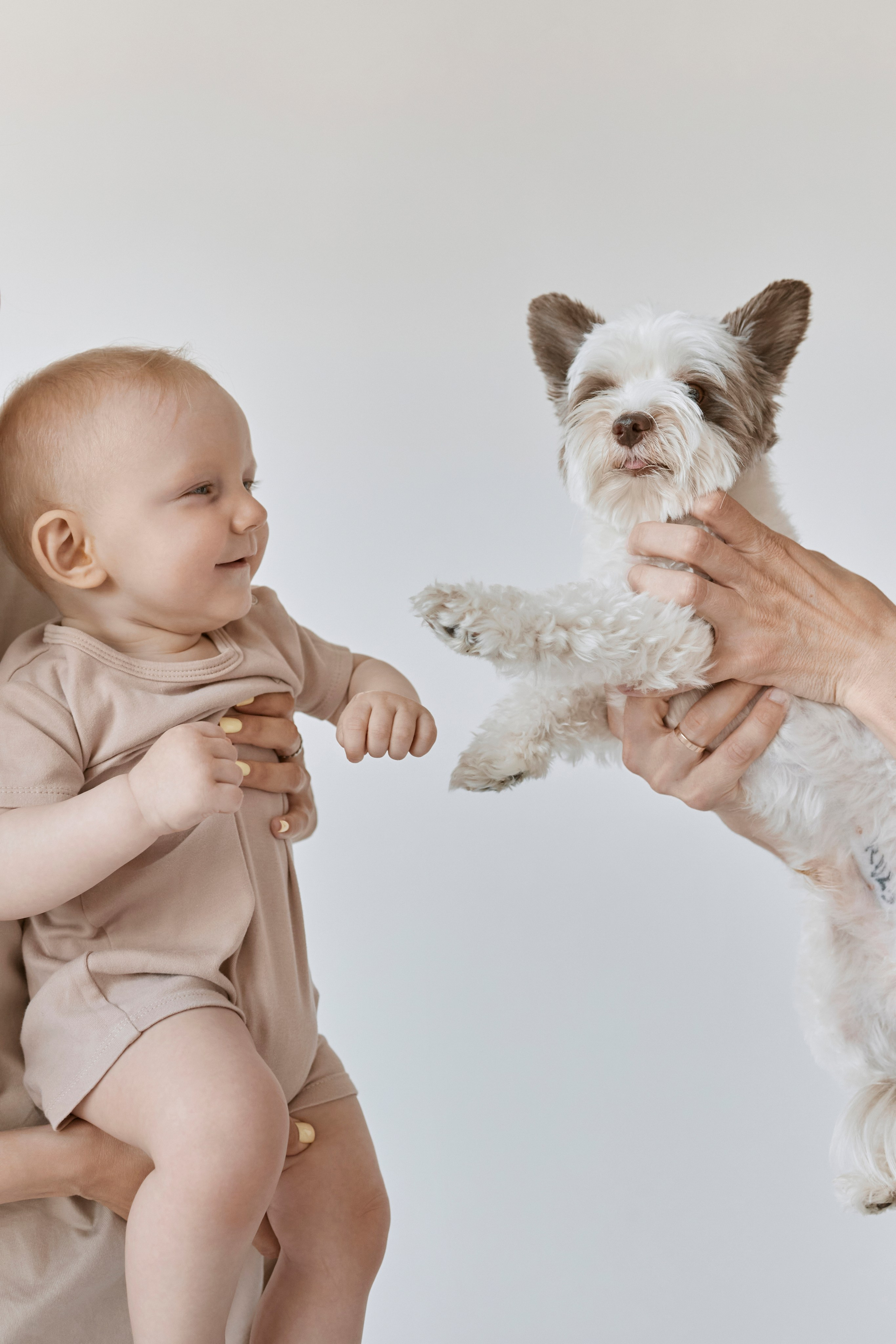 Анастасия, Степан и Мирон. Светлана Шайгаскарова| фотограф в Перми