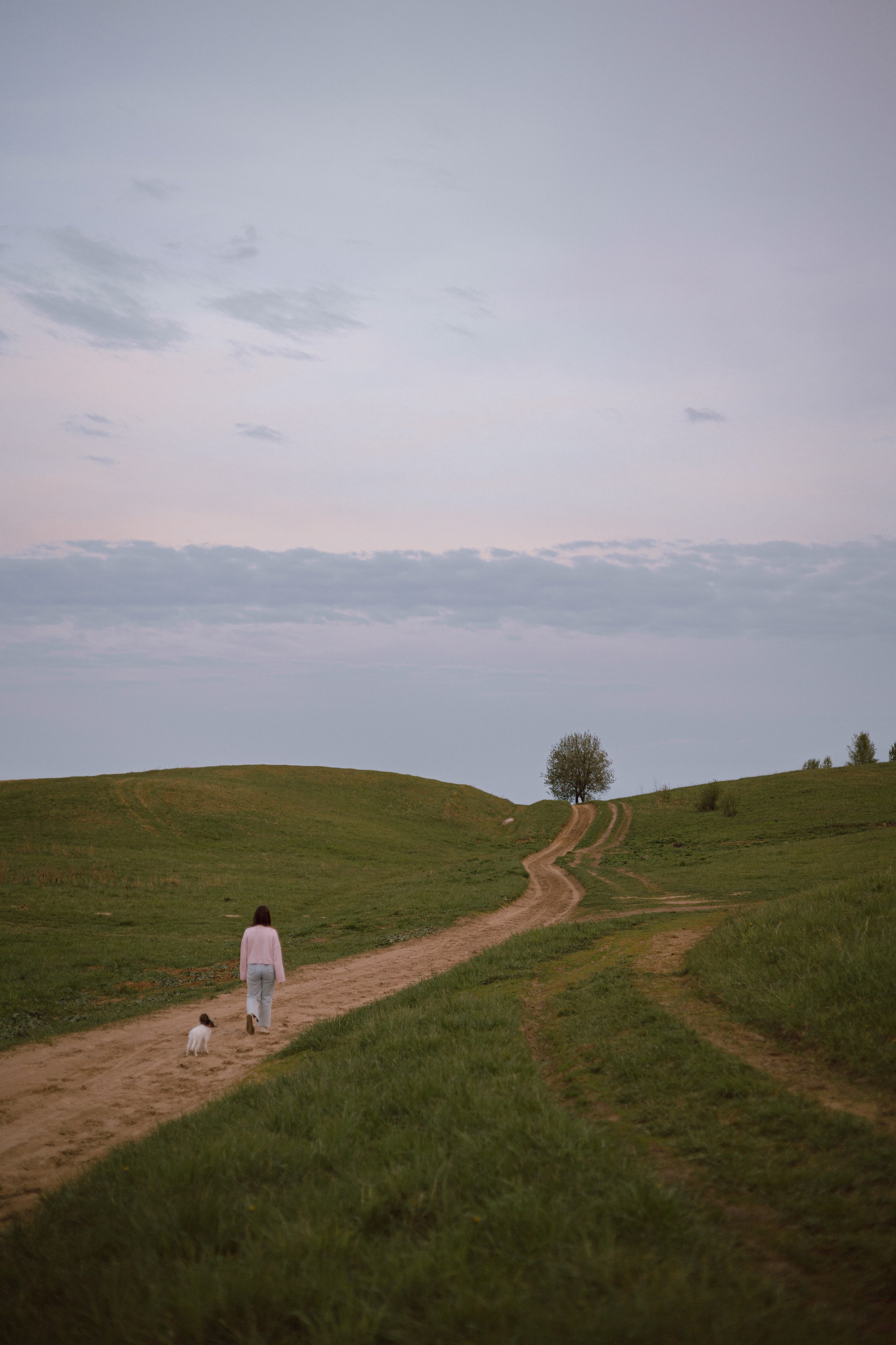 Вика и Бруни. Фотограф — анималист •love-story•|Санкт-Петербург