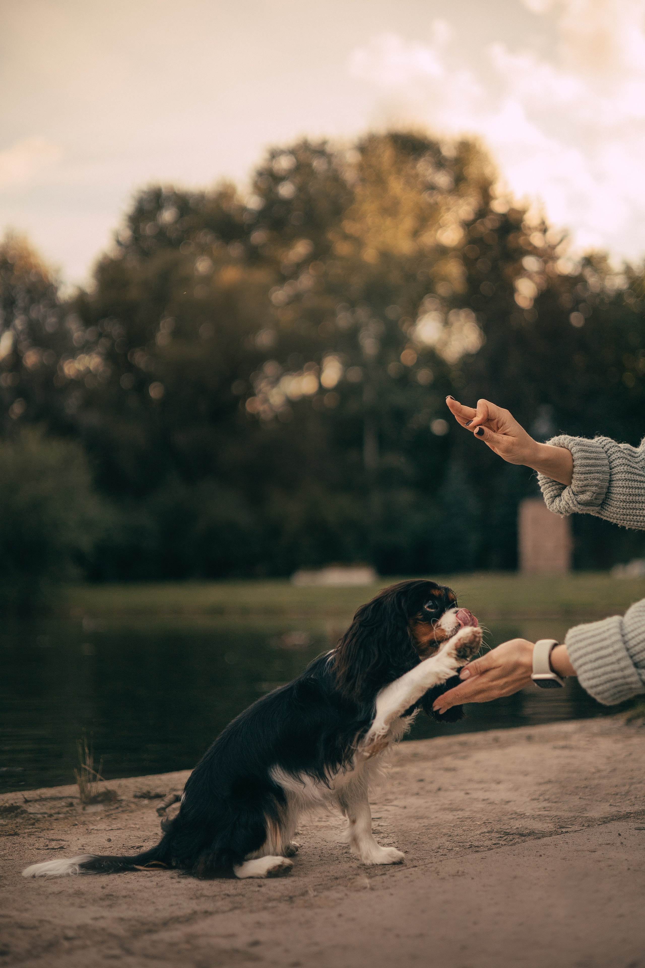 Один день из жизни Стеши и её родных. Фотограф — анималист •love-story•|Санкт-Петербург