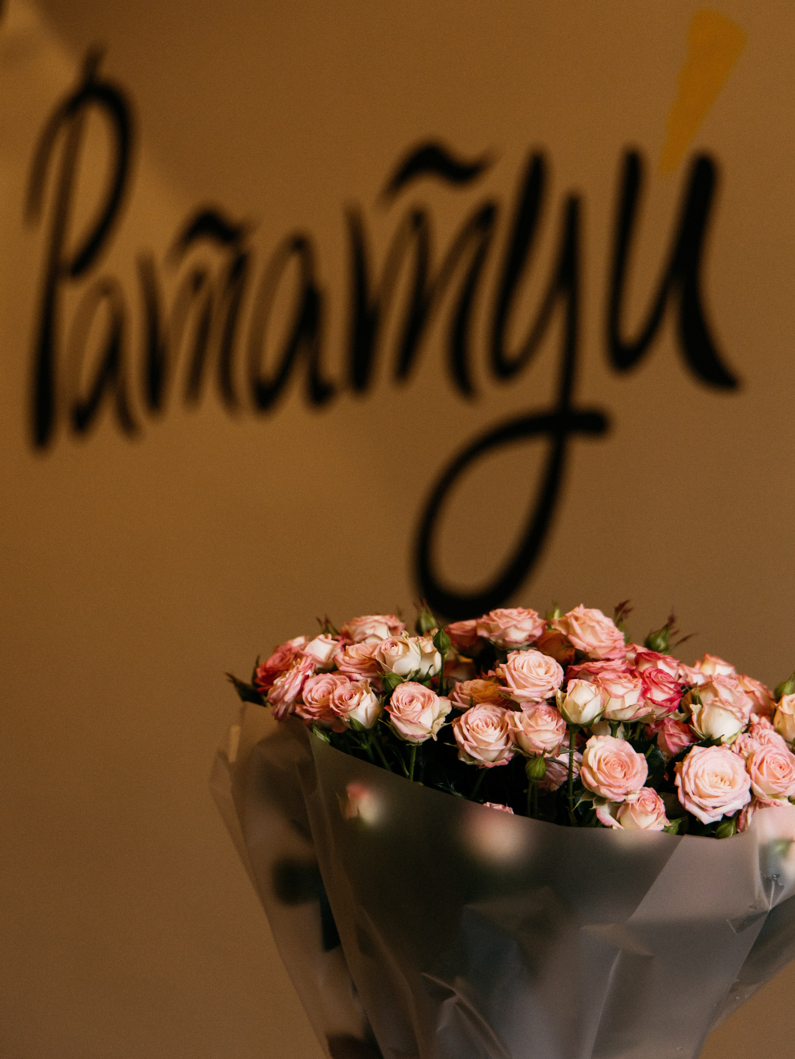 День рождения Ирины|Рататуй. Свадебный фотограф Челябинск Зиненко Виктория