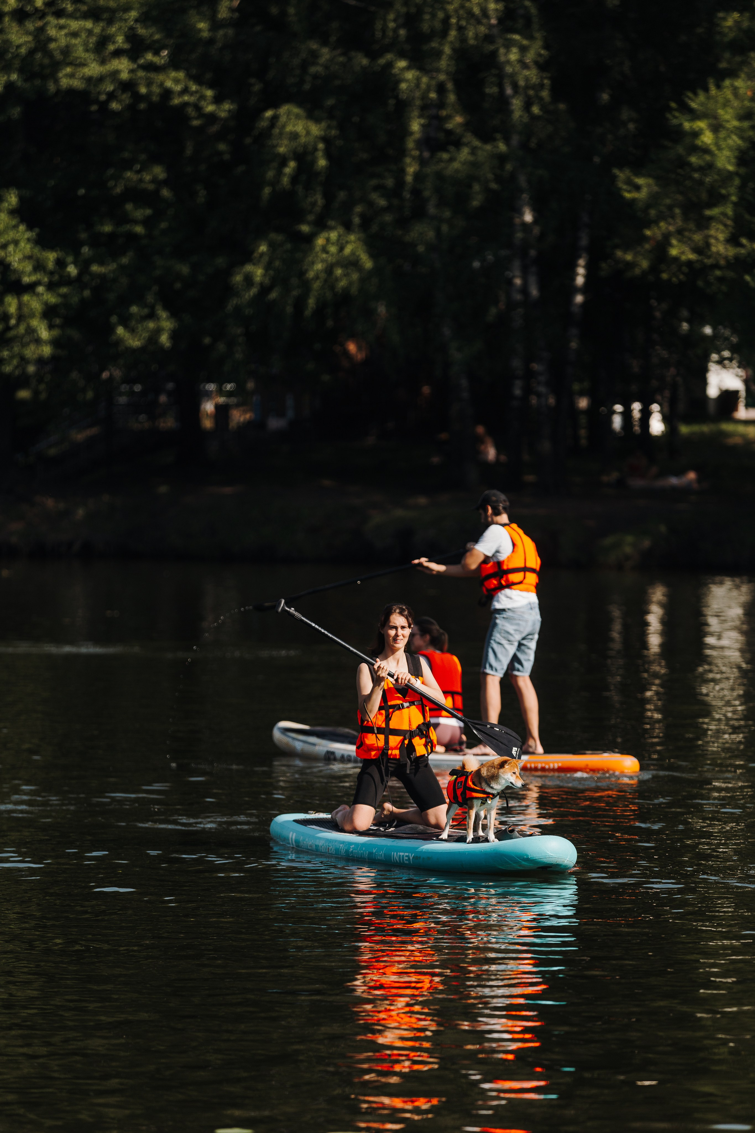 Petshop Sup day. Фотограф анималист Кристина Карпова, Москва