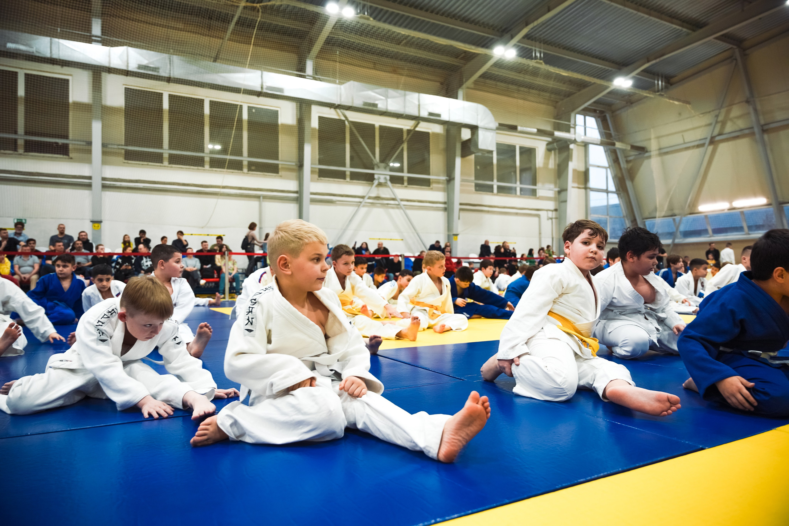 Самбо. Портретный и репортажный фотограф