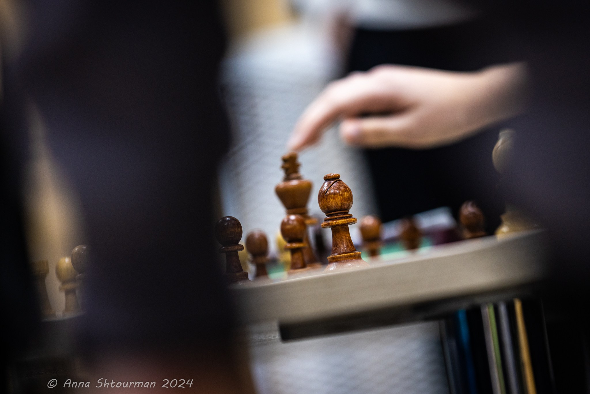 2024 Чемпионат Ярославской области по быстрым шахматам (Ярославль, Россия). Фотограф Анна Штурман (репортажная съёмка любых событий и мероприятий) Anna Shtourman photographer