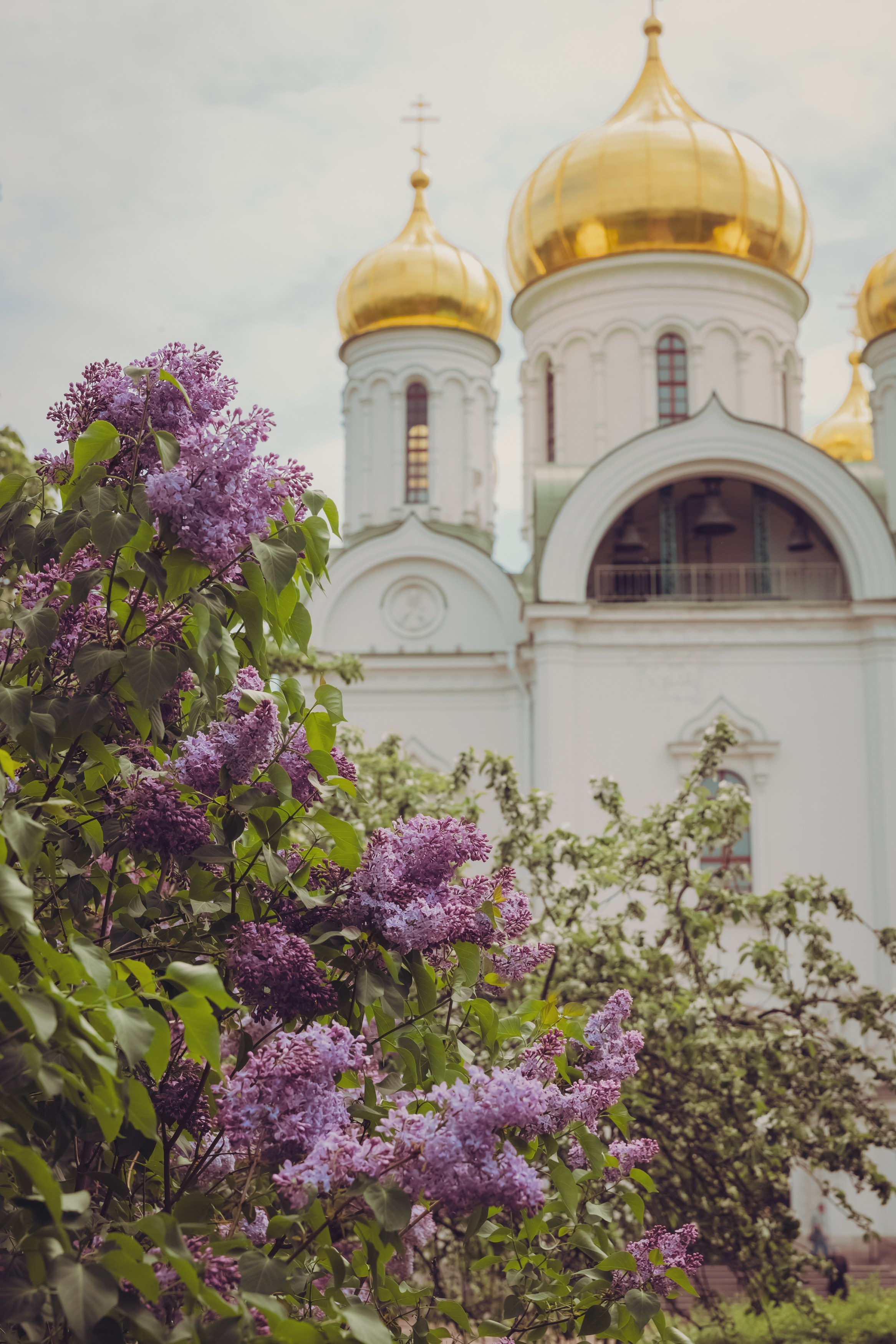 Екатерининский собор. Свадебный фотограф, крещение, венчание СПБ, Белгород Анна Коршунова