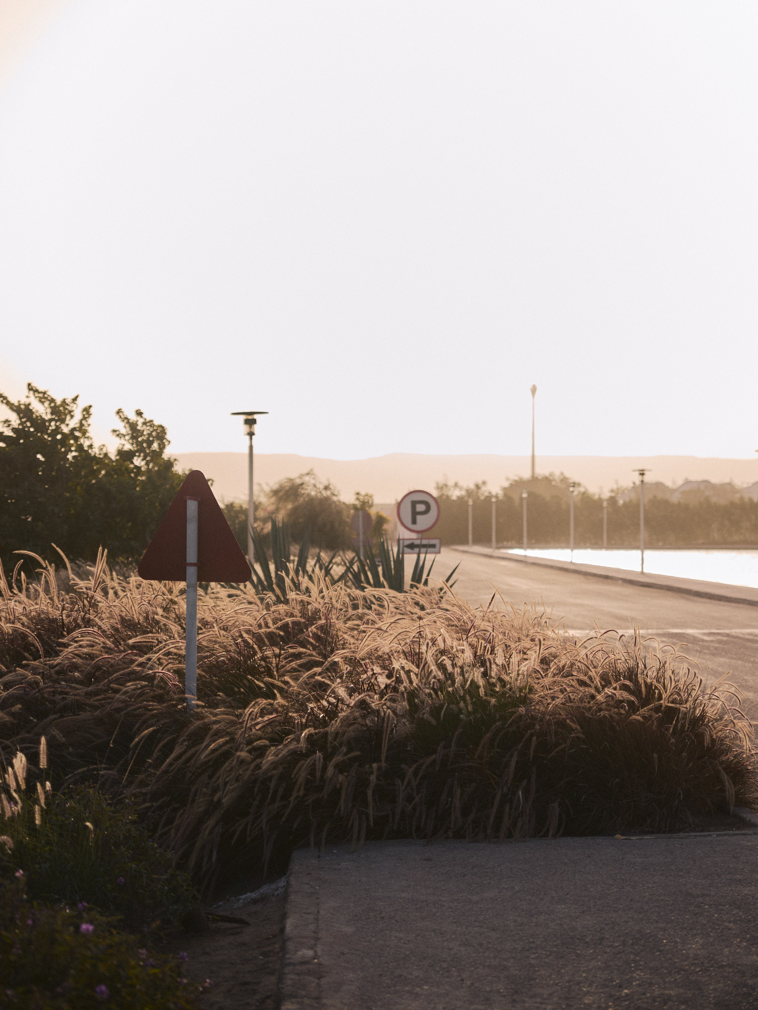 Улицы. Jorgis Talè — photographer, kind person, teacher of arts and other mag