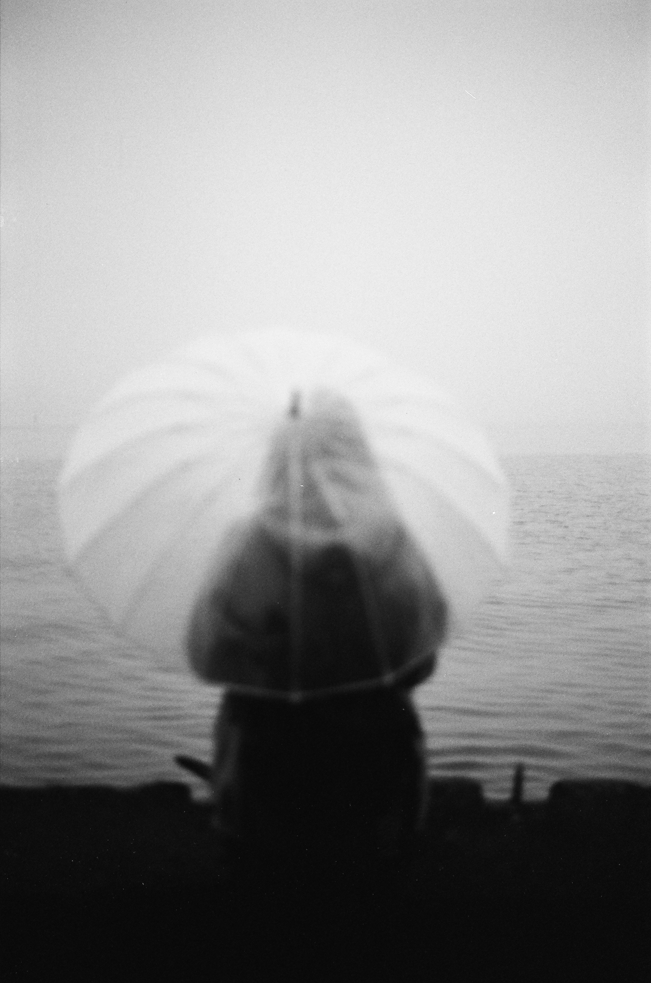 Dispersed Presence. Film and another stuff