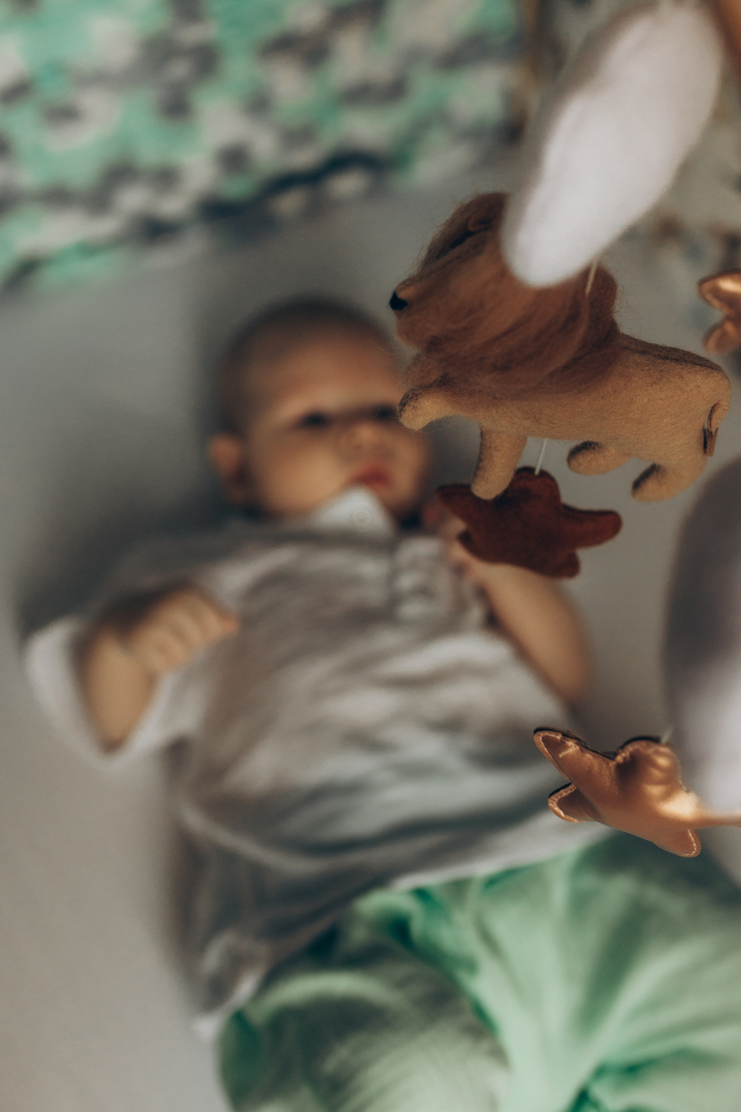 Дмитрий, Ольга и малыш Лев. Семейный, свадебный фотограф в Чите Екатерина Мельникова