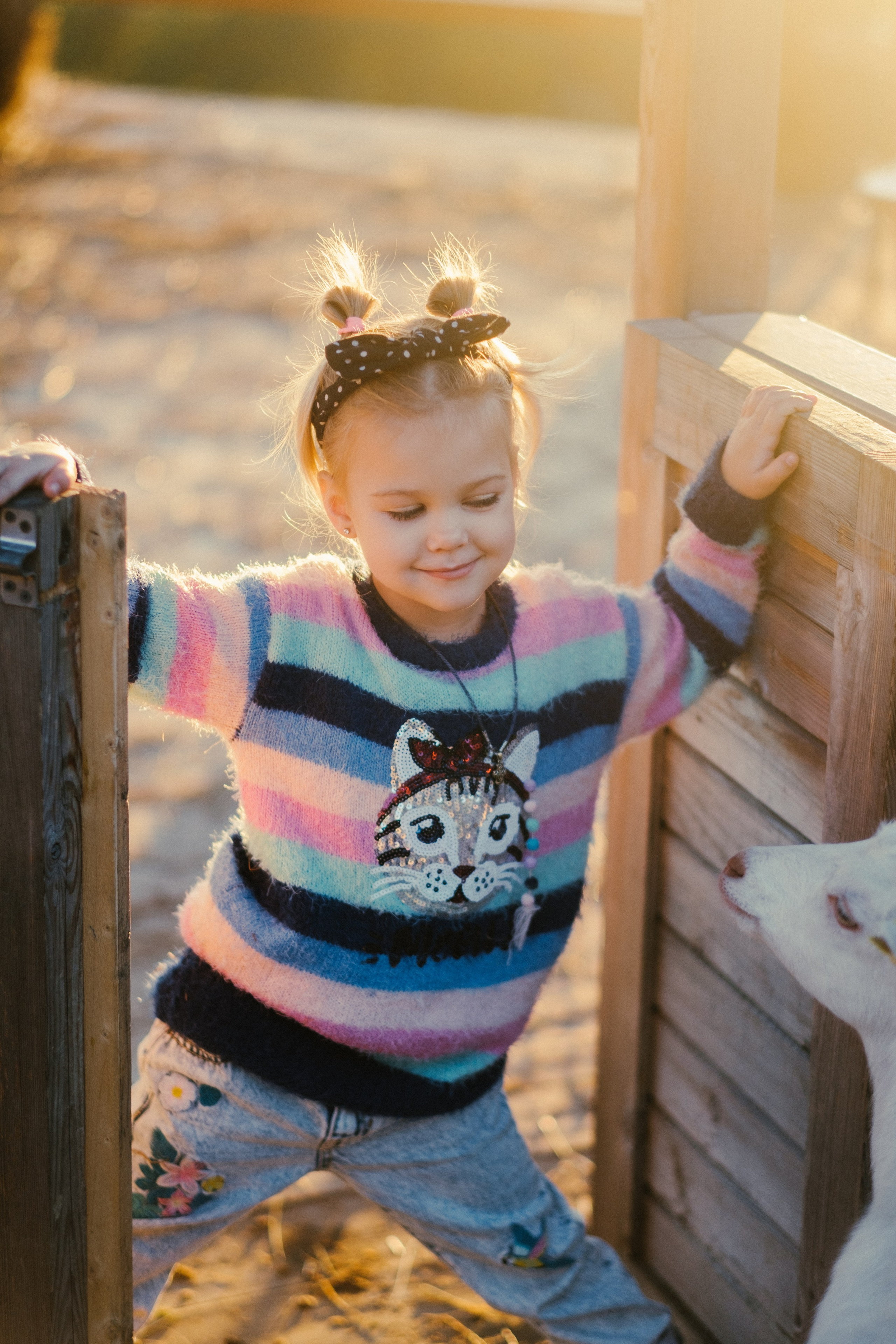 Экзархо. Свадебный Видеограф Фотограф в Сочи