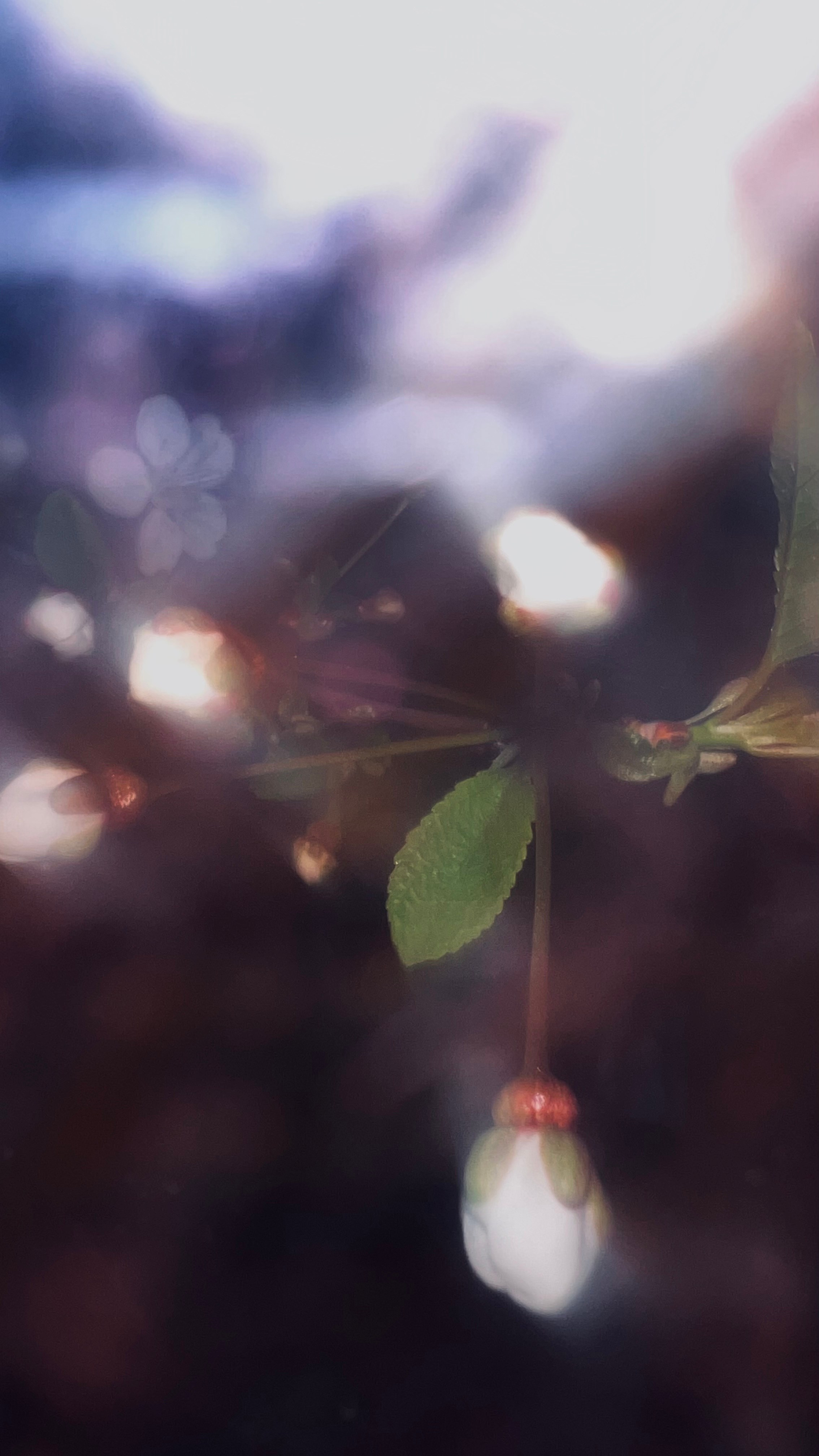 My beautiful days / Moscow 2024. POLINA MÔMOT