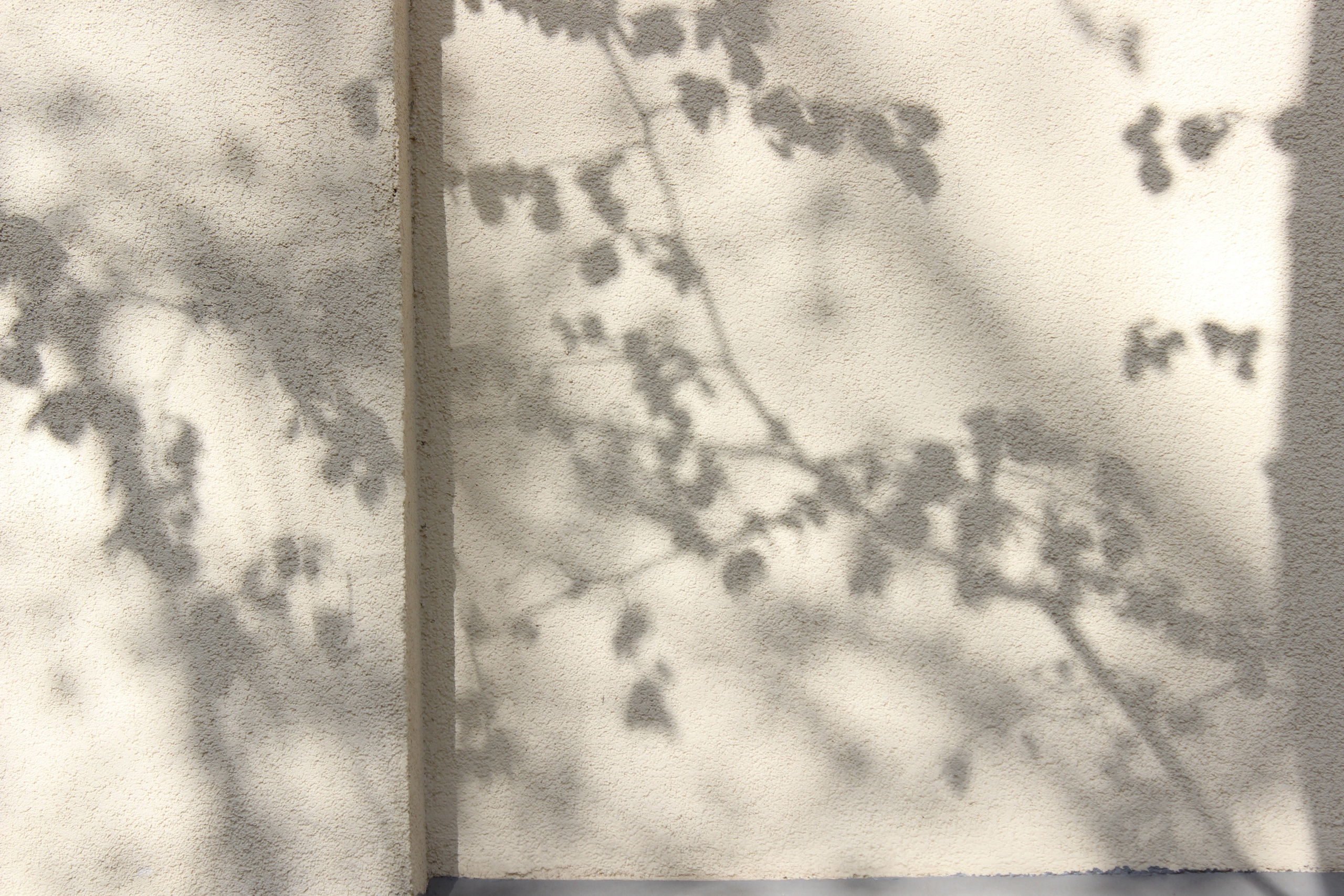 My beautiful days / Moscow 2024. POLINA MÔMOT