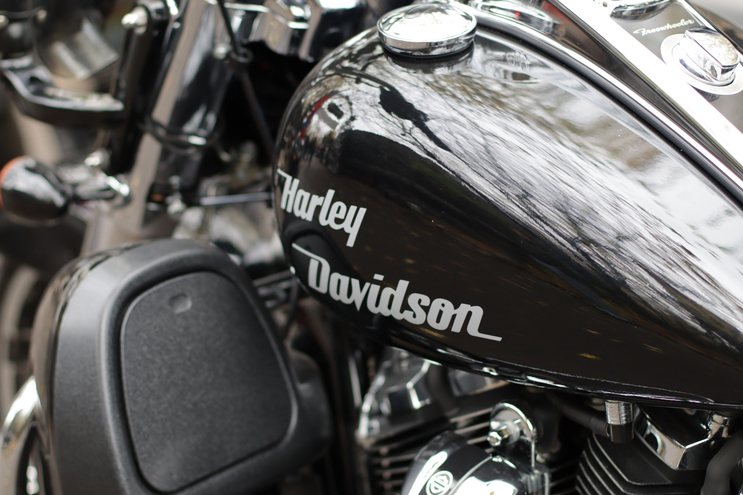 Мотоклуб «НОЧНЫЕ ВОЛКИ» Закрытие сезона 2025. Jane Kudryavtseva | MODEL PHOTO & PORTRAIT