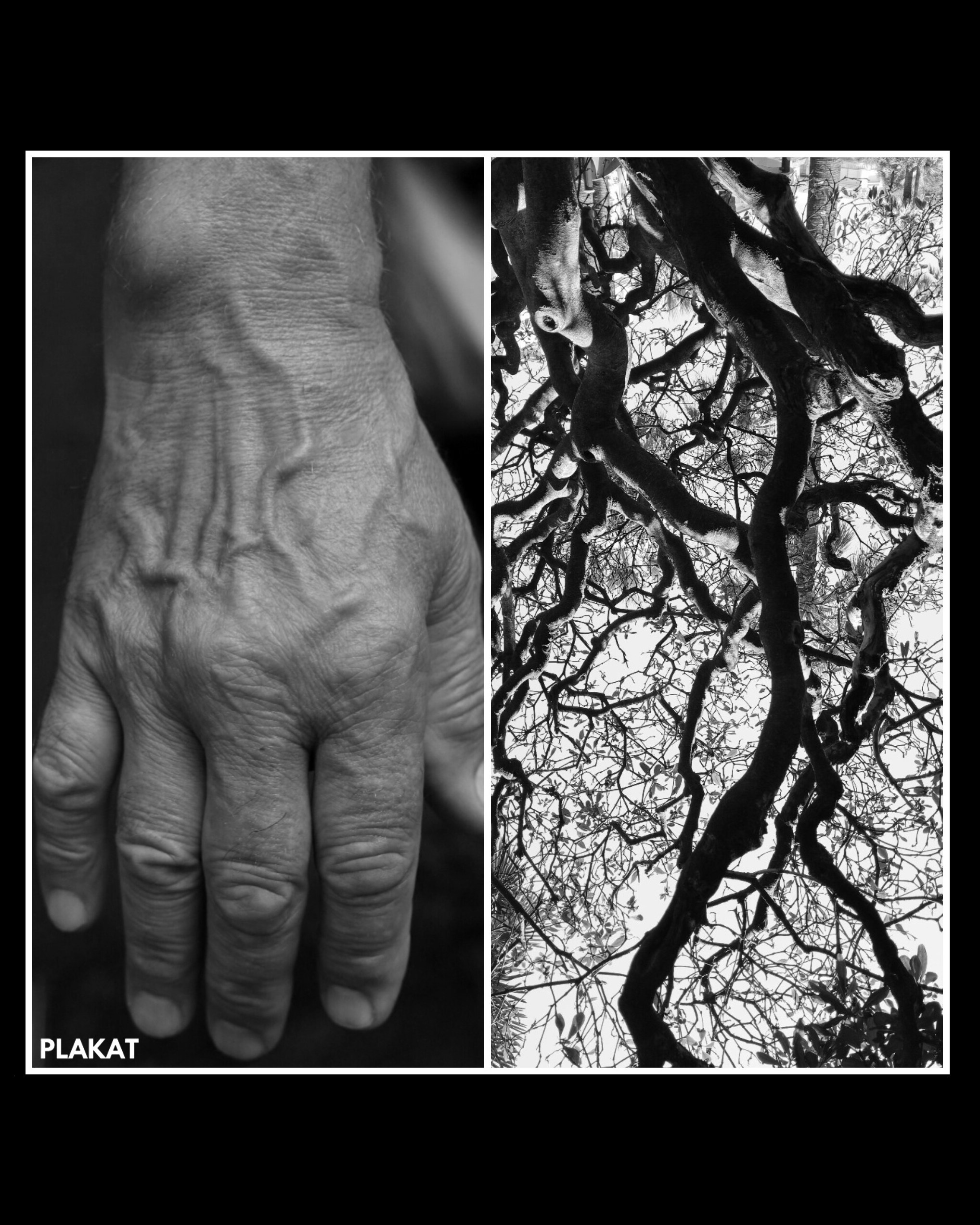 @elenakovalenko_artiste