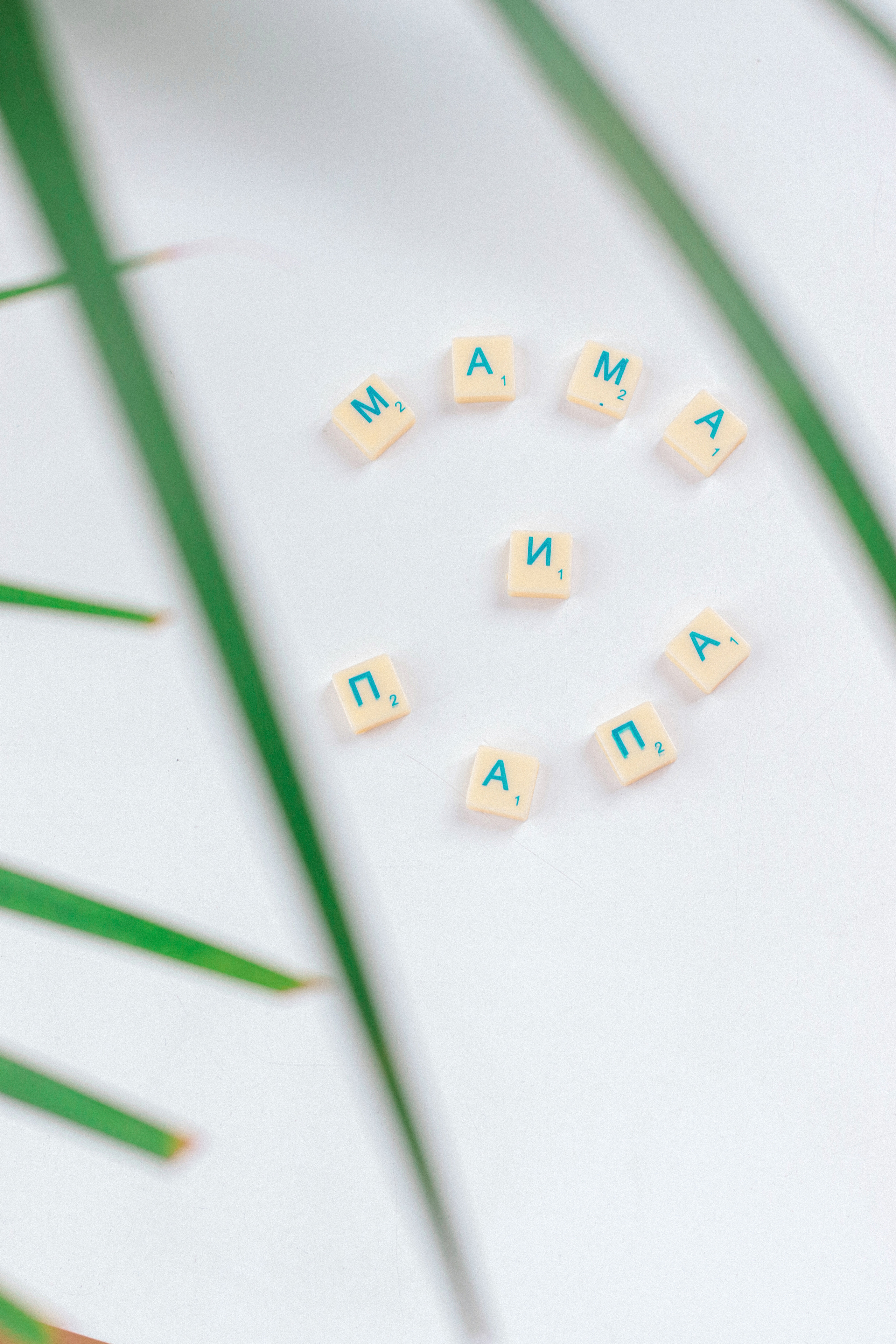 Контент-съёмка для психолога. Фотограф Химки Анна Татарских