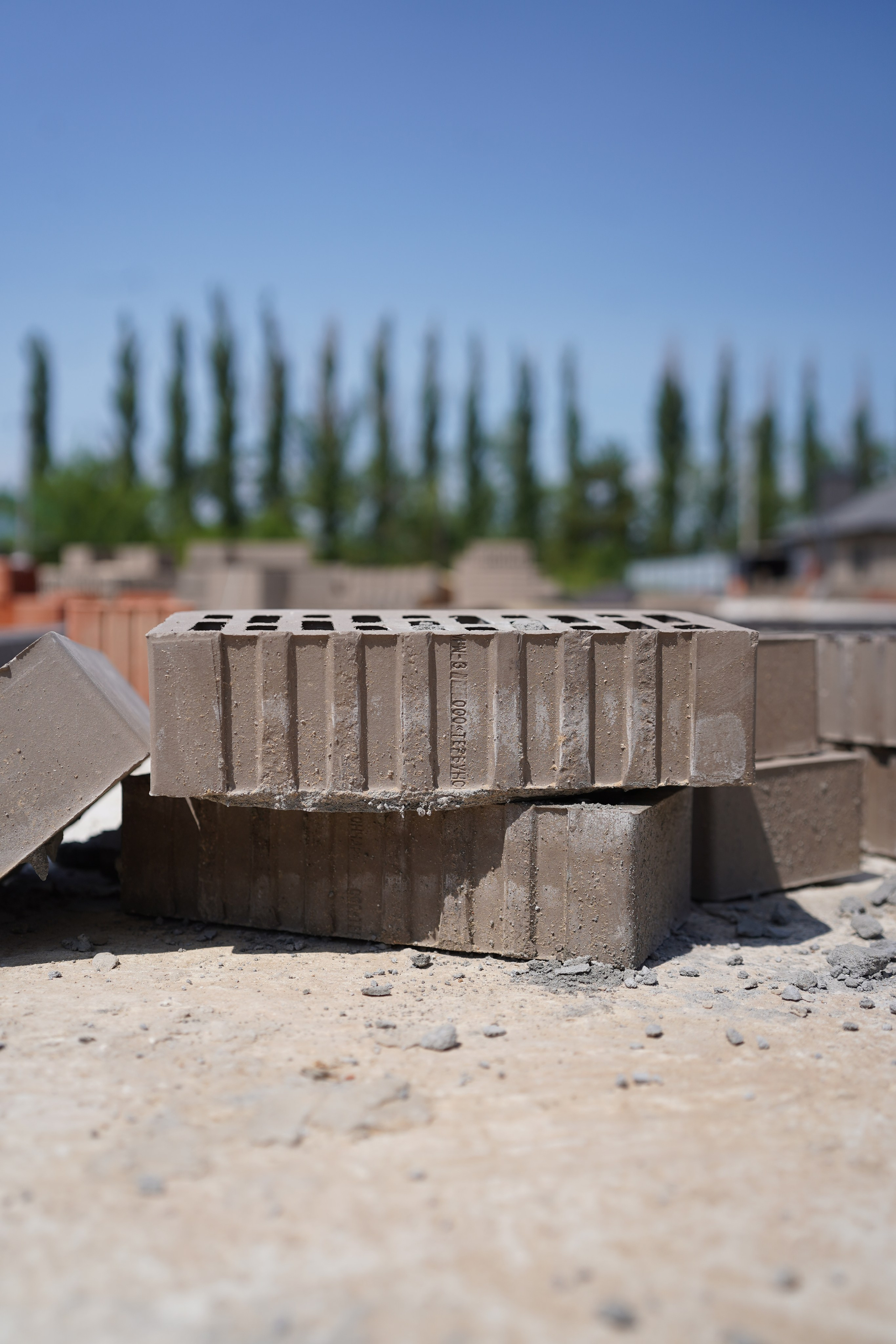 Покровский сад. Das House