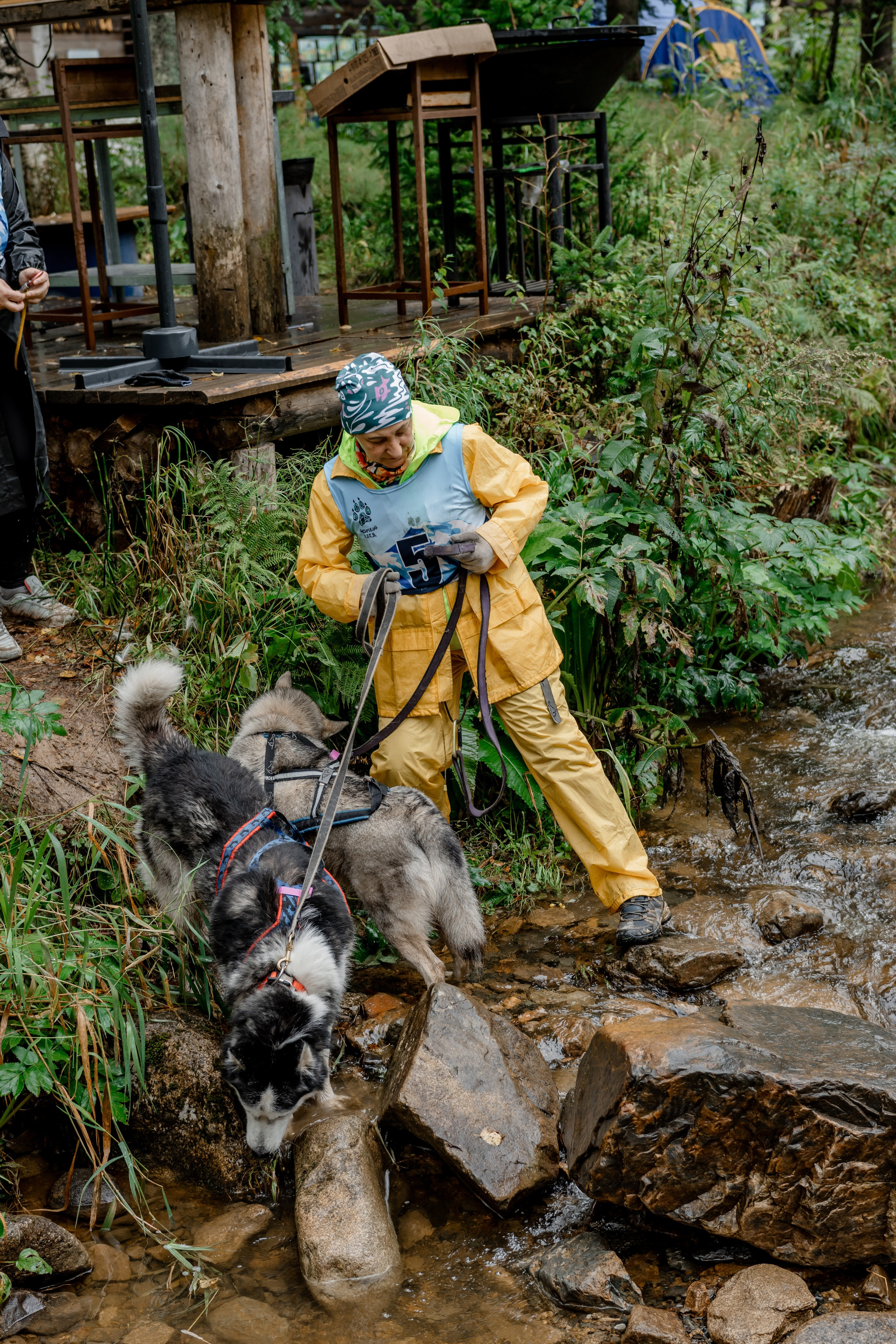 Дог-треккинг