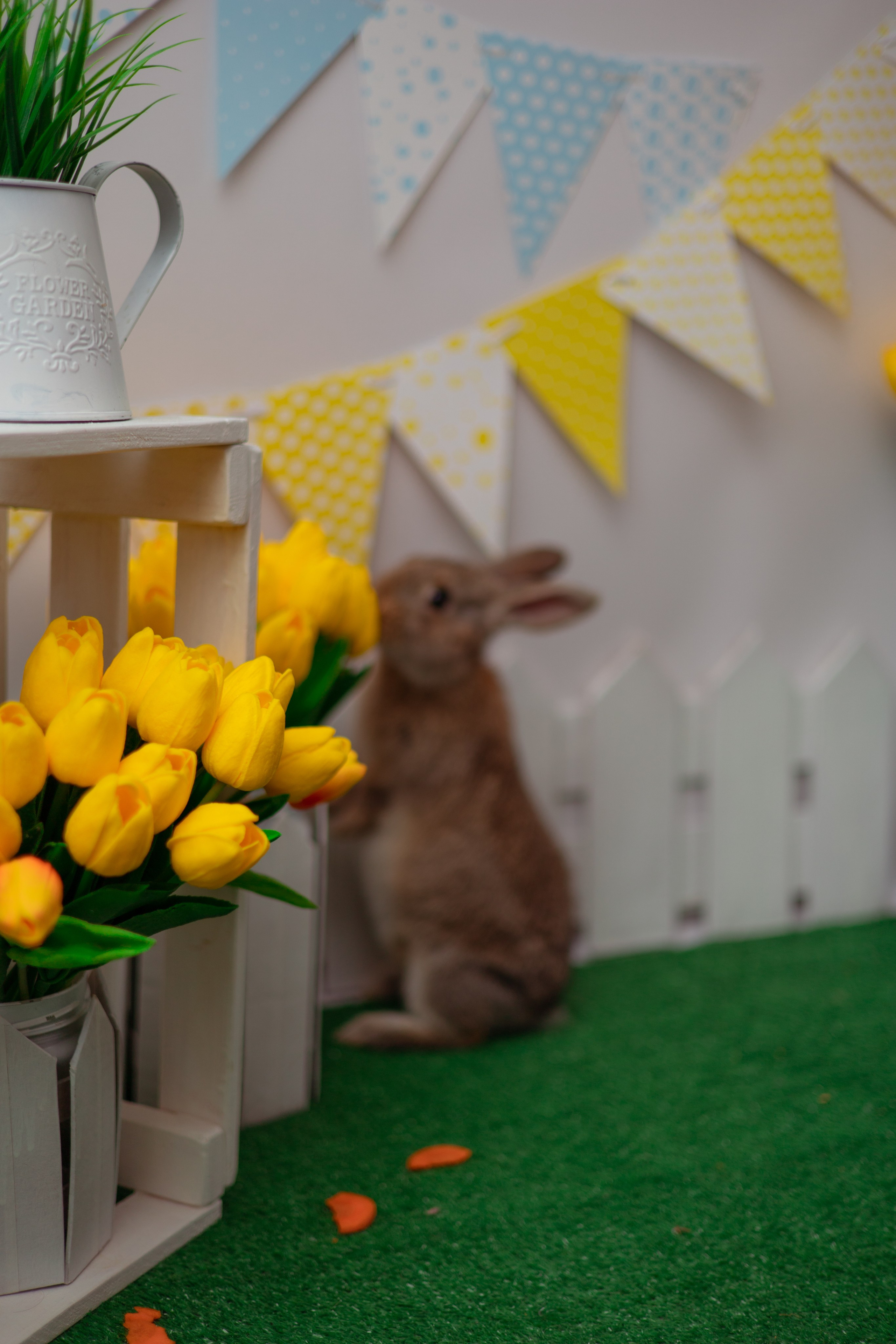 Злата кролики. Семейный и детский фотограф в Михайловке Татьяна Лестьева