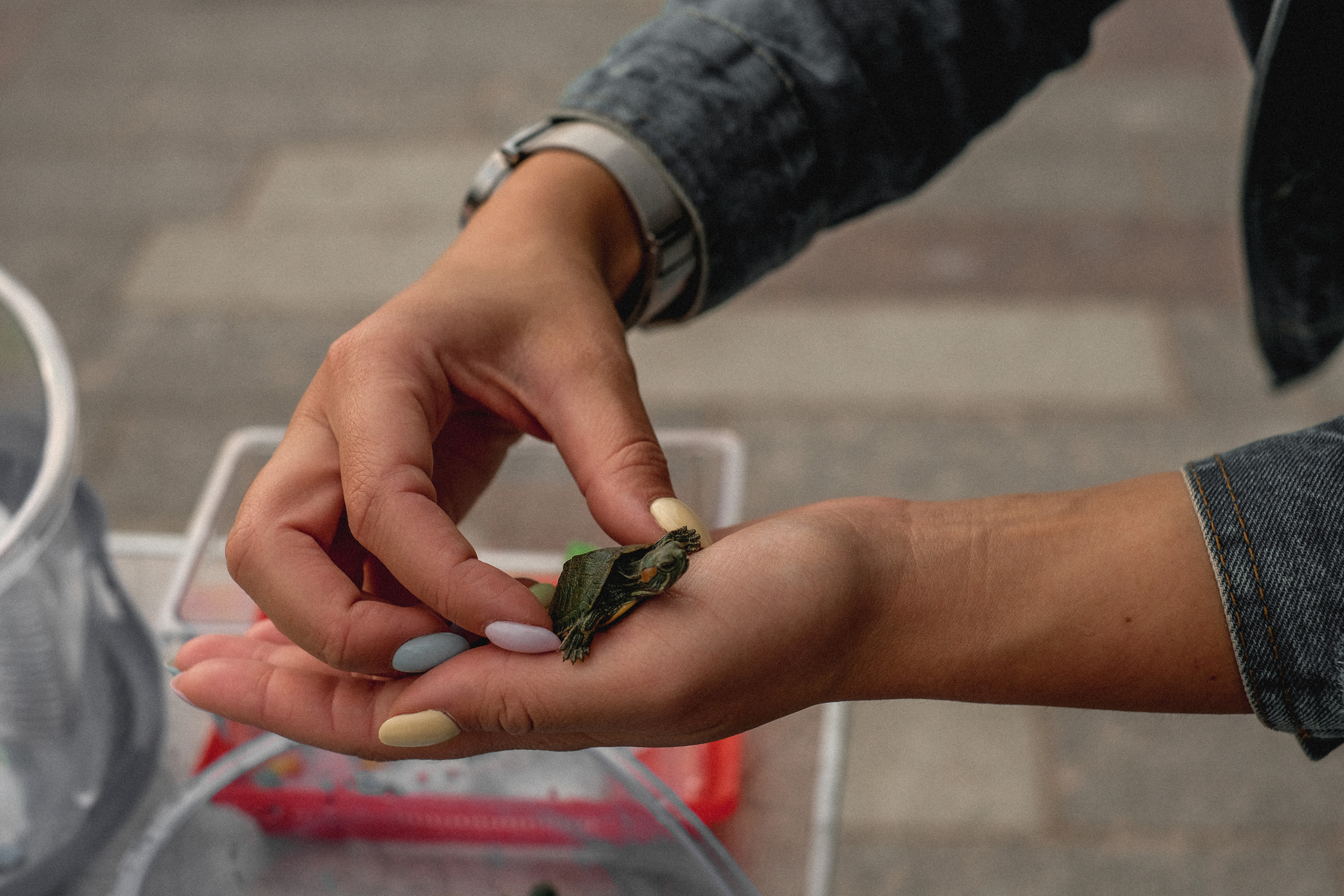 Алексей и Юля. Фотограф в Санкт-Петербурге и Карелии