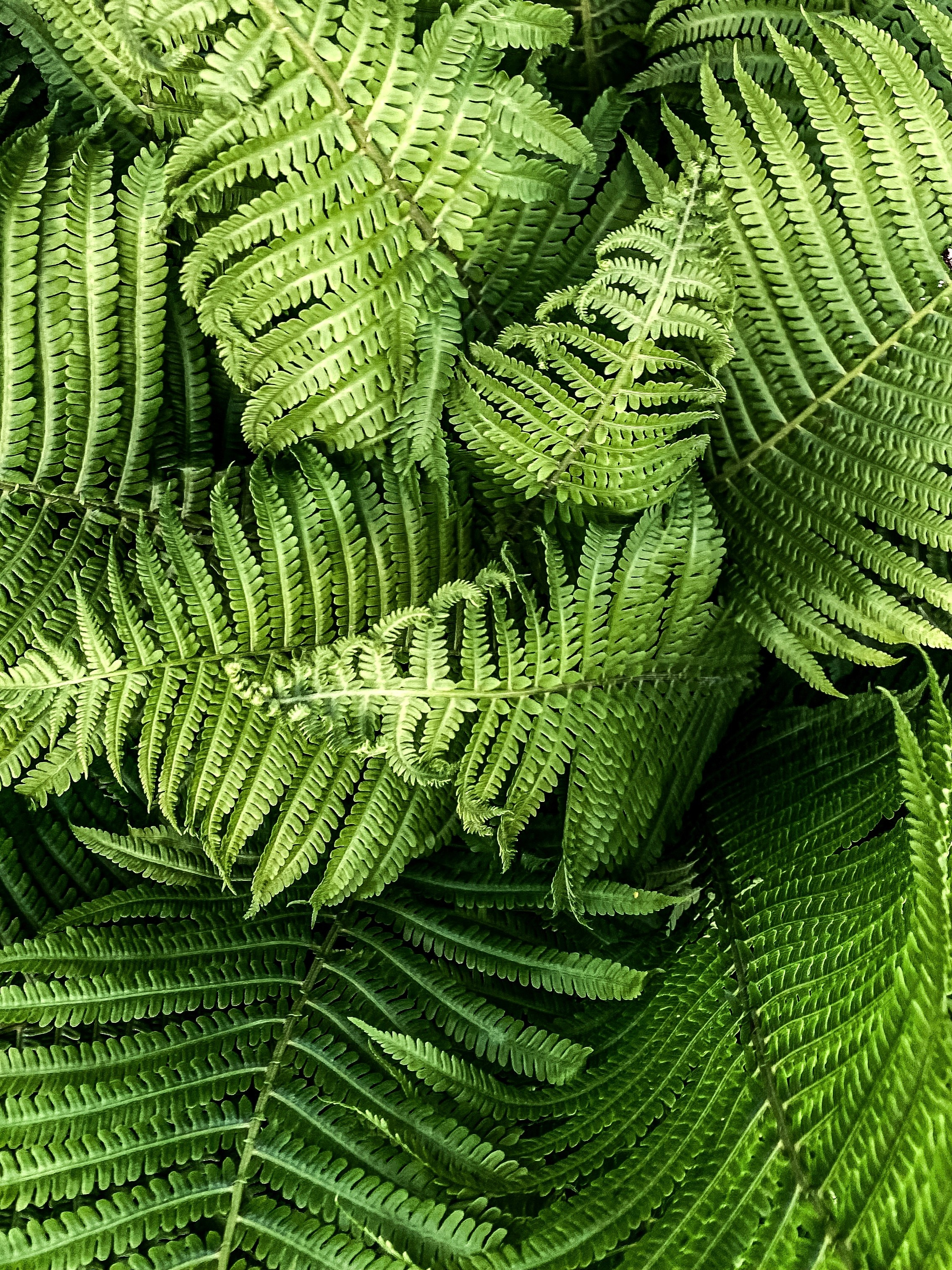 Фактуры. Фотограф Ольга Мурзина