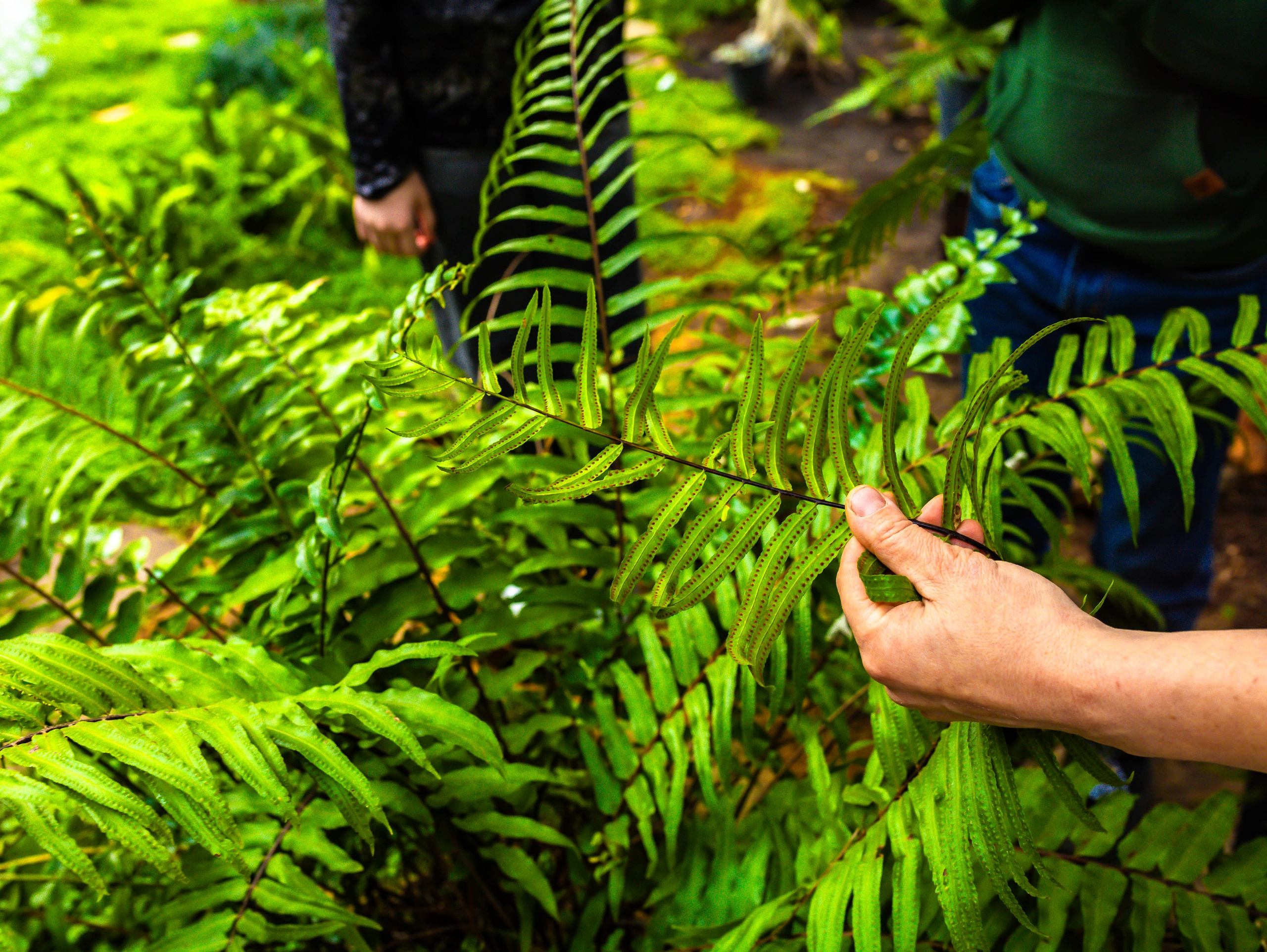 Фотографии природы Липецка. Свадебный и семейный фотограф Виолетта в Липецке