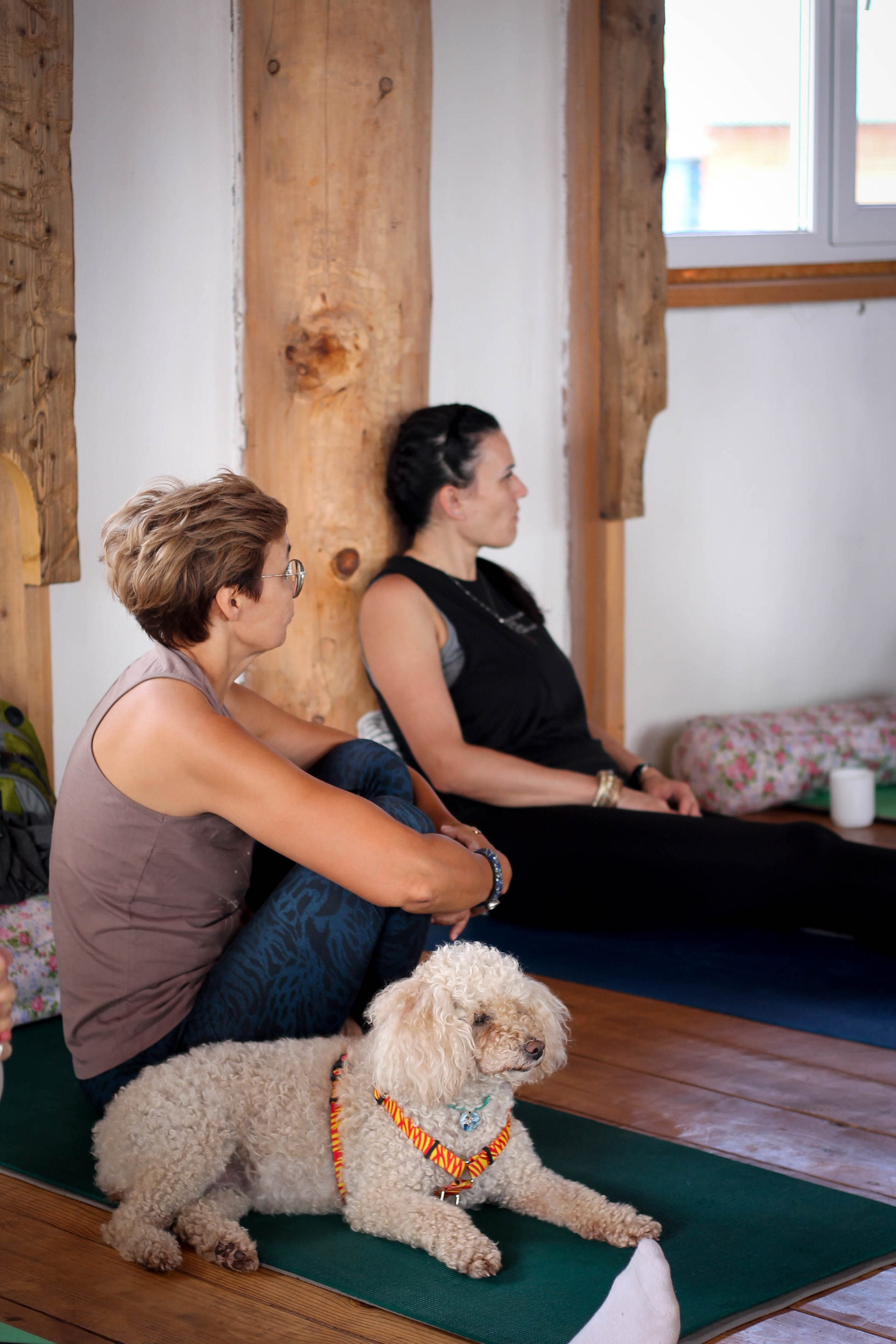 Родология 7–9 июля 2023