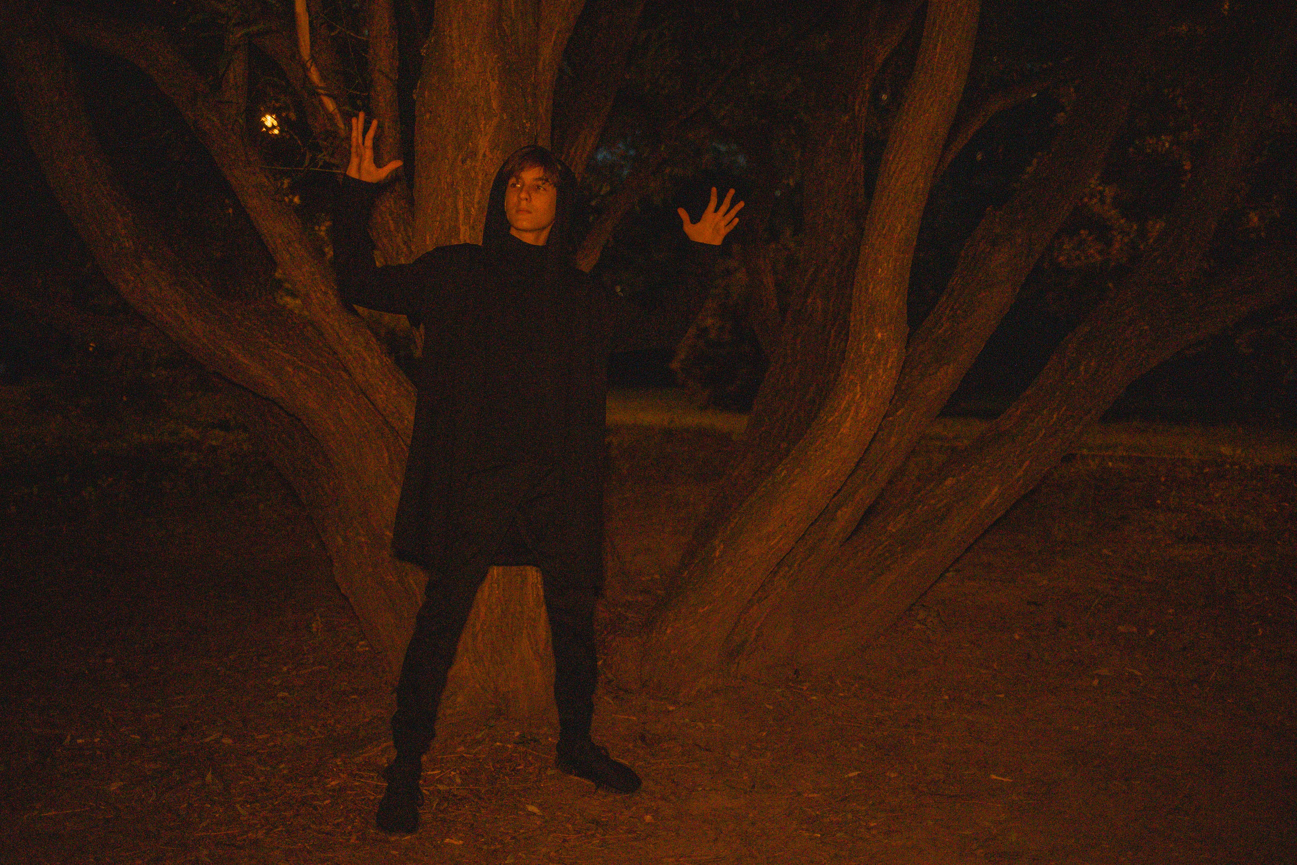 СКАЗОЧНЫЙ ЛЕС. Я фотограф из Москвы к Вашим услугам