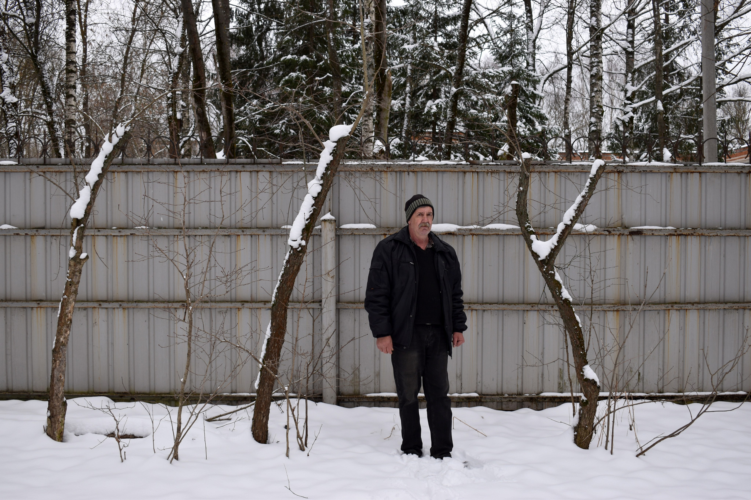 Надежда Пророкова «Добрый садовник». Private image