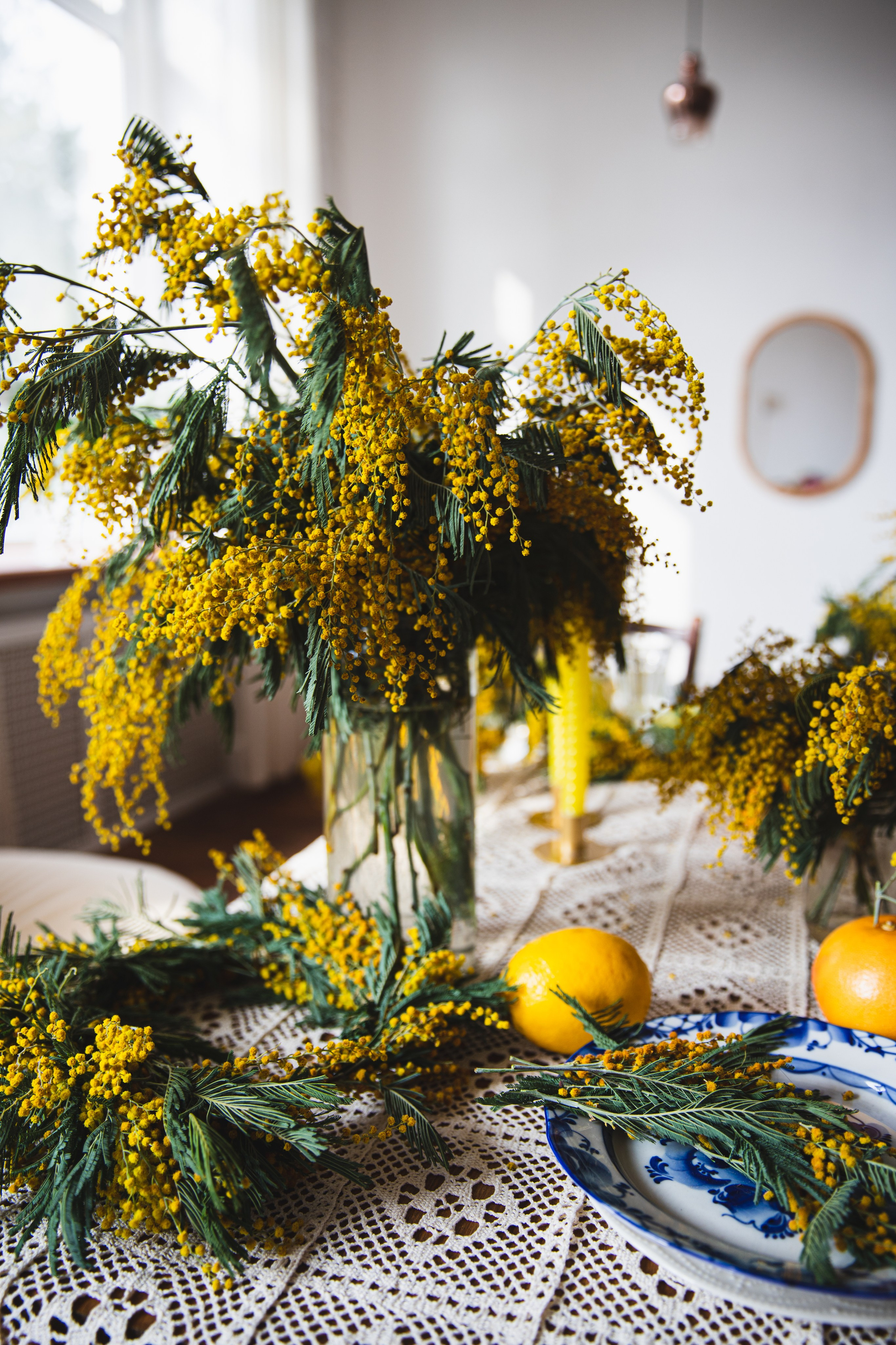 МИМОЗА. Портретный фотограф в Краснодаре Надежда Елынко