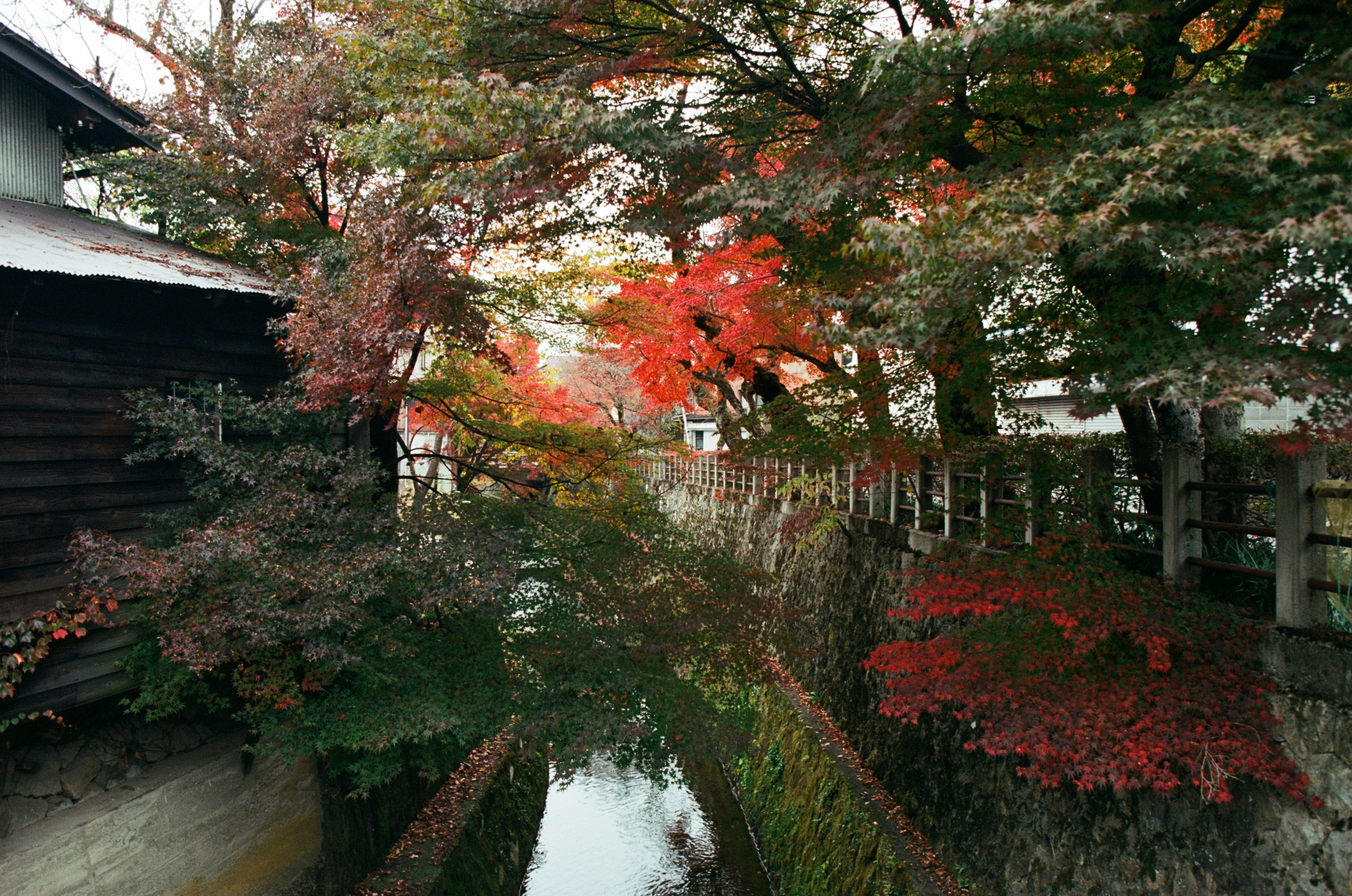 Out of noise // japan, takayama. EVER EXPOSED