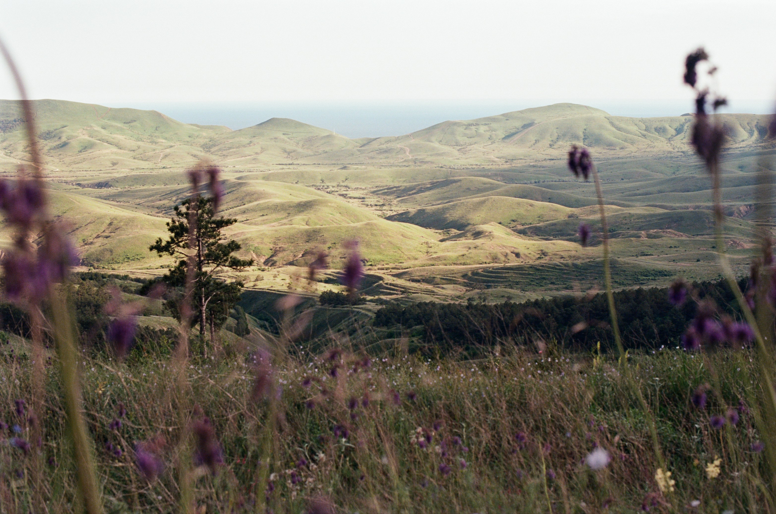 The drugs don't work // ukraine, crimea III. EVER EXPOSED